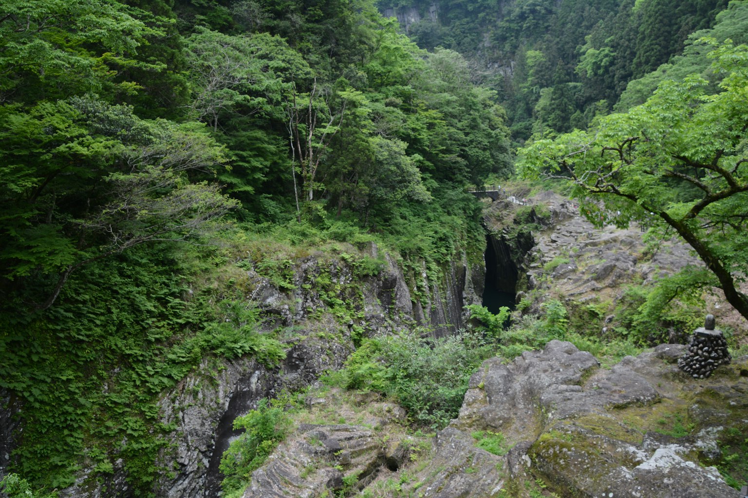Paysage de vallée verdoyante avec des rochers et des arbres