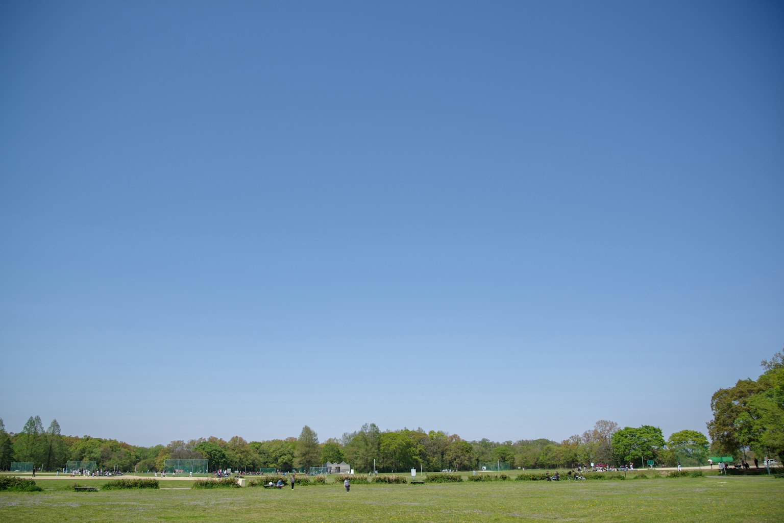 Langit biru jernih di atas ladang hijau subur