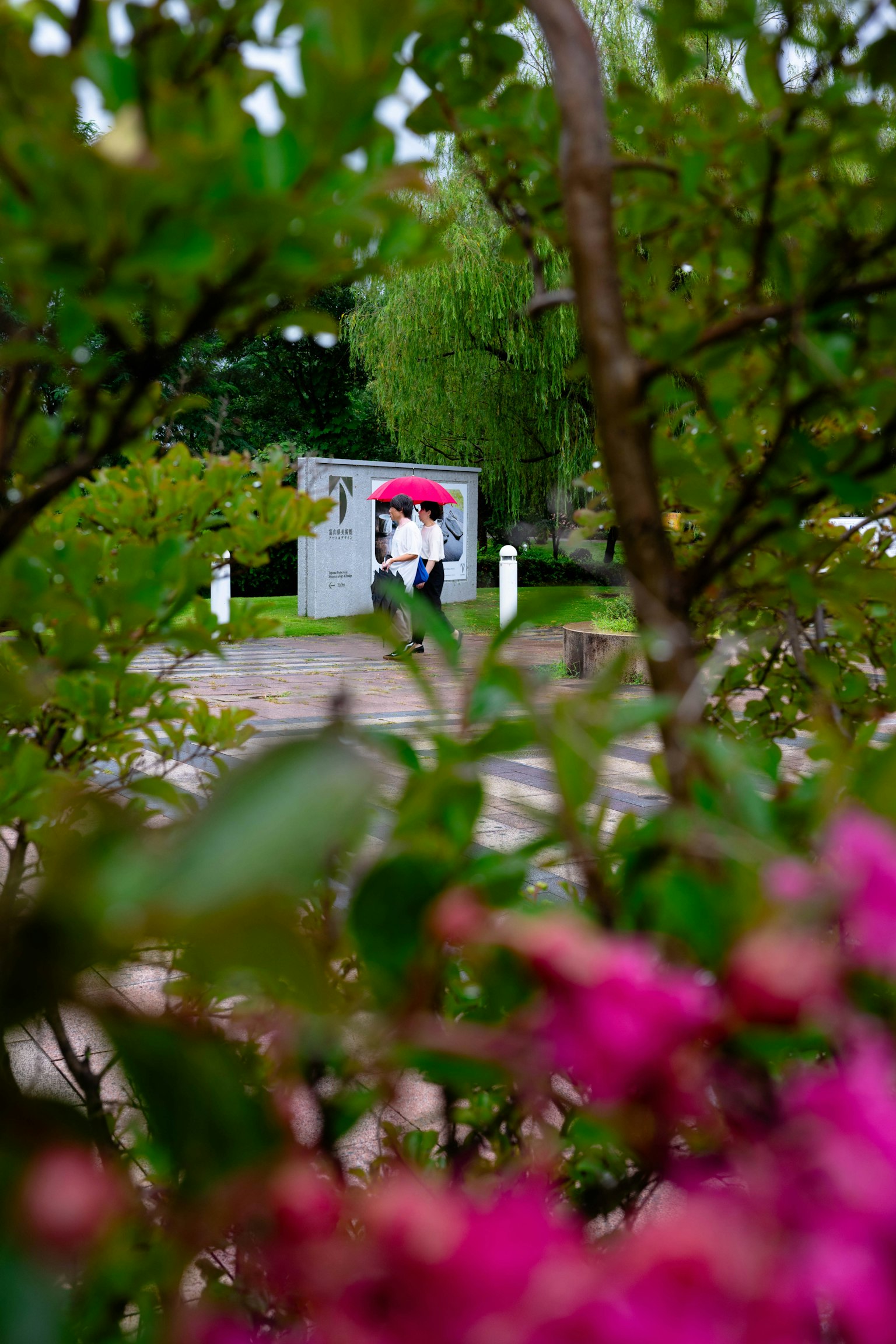 Persona sosteniendo un paraguas rojo vista a través de hojas verdes con un edificio al fondo