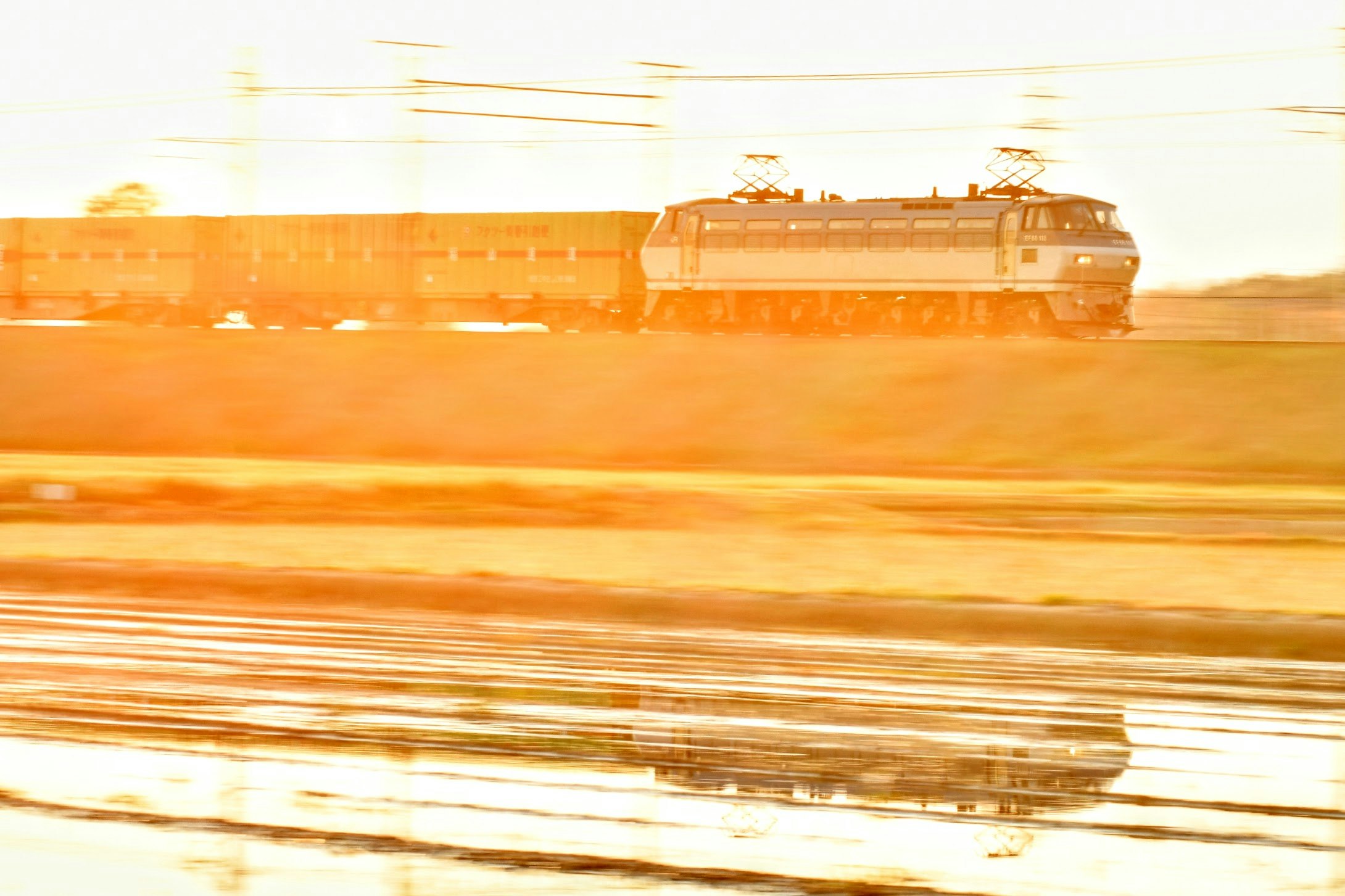 朝日を浴びて走る貨物列車の車両と線路