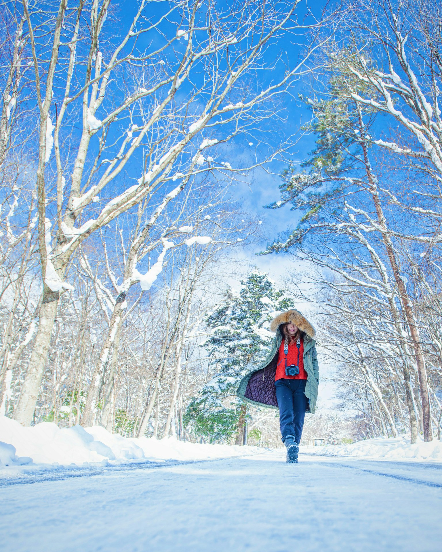 Personne marchant sur un chemin enneigé sous un ciel bleu