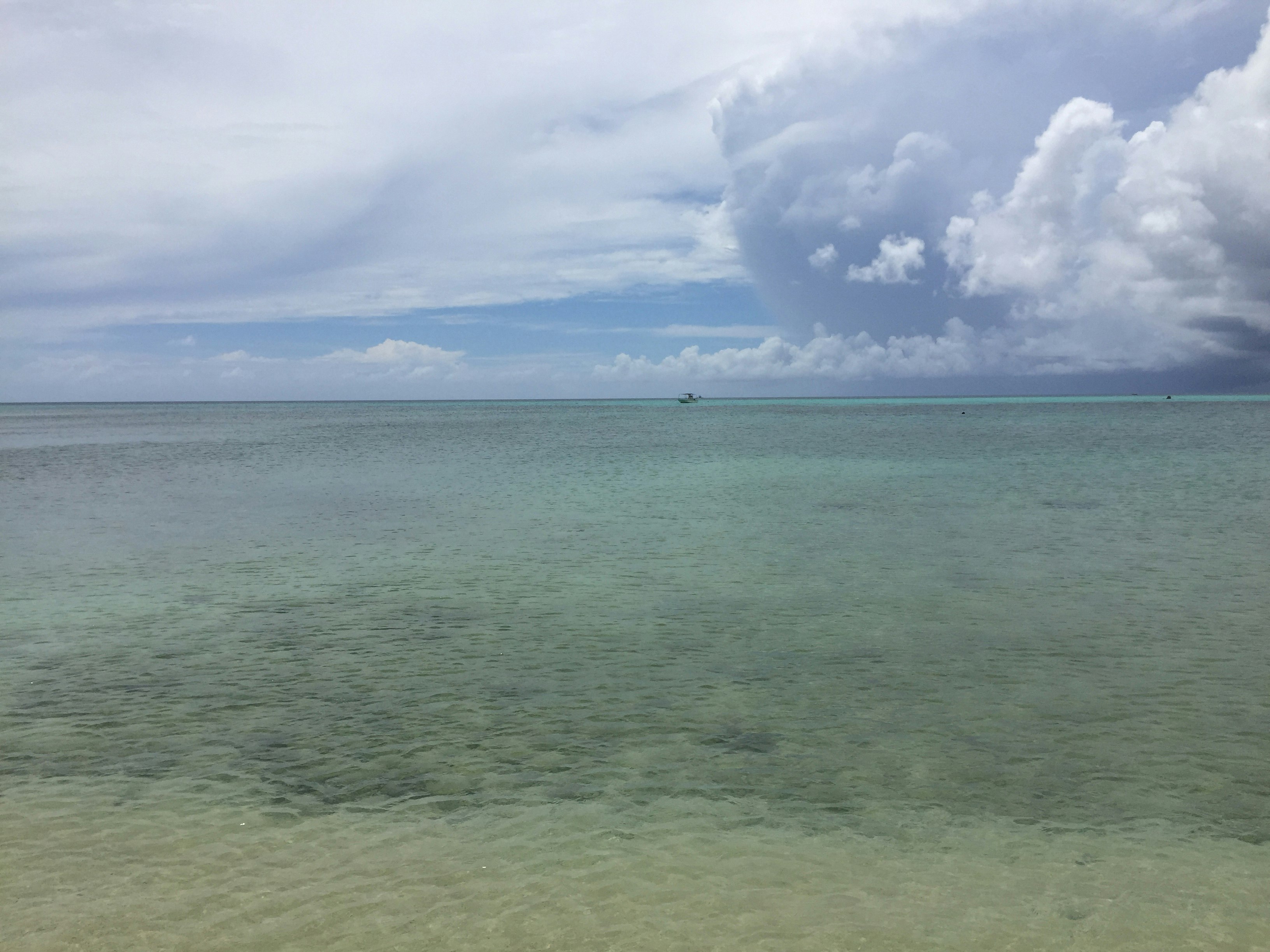 穏やかな海面と遠くの水平線が広がる風景
