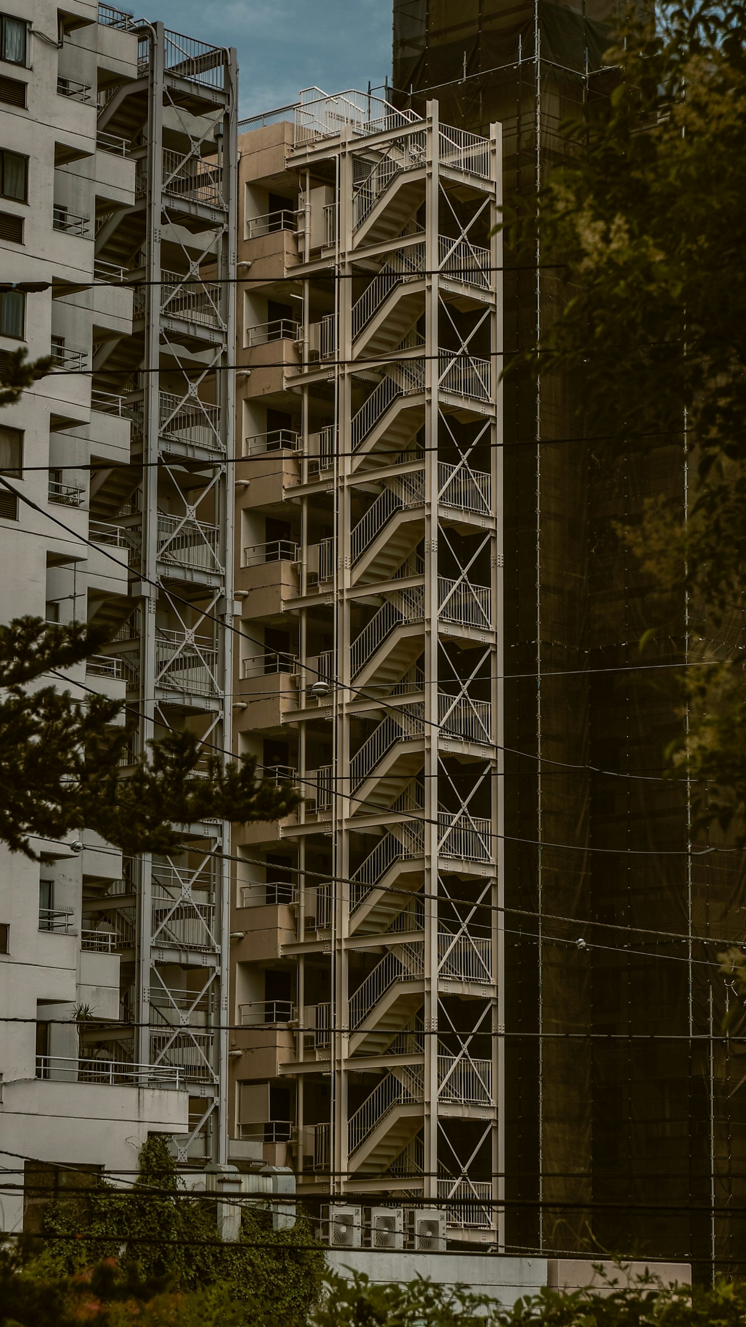 展示建築外觀和結構設計的城市風景