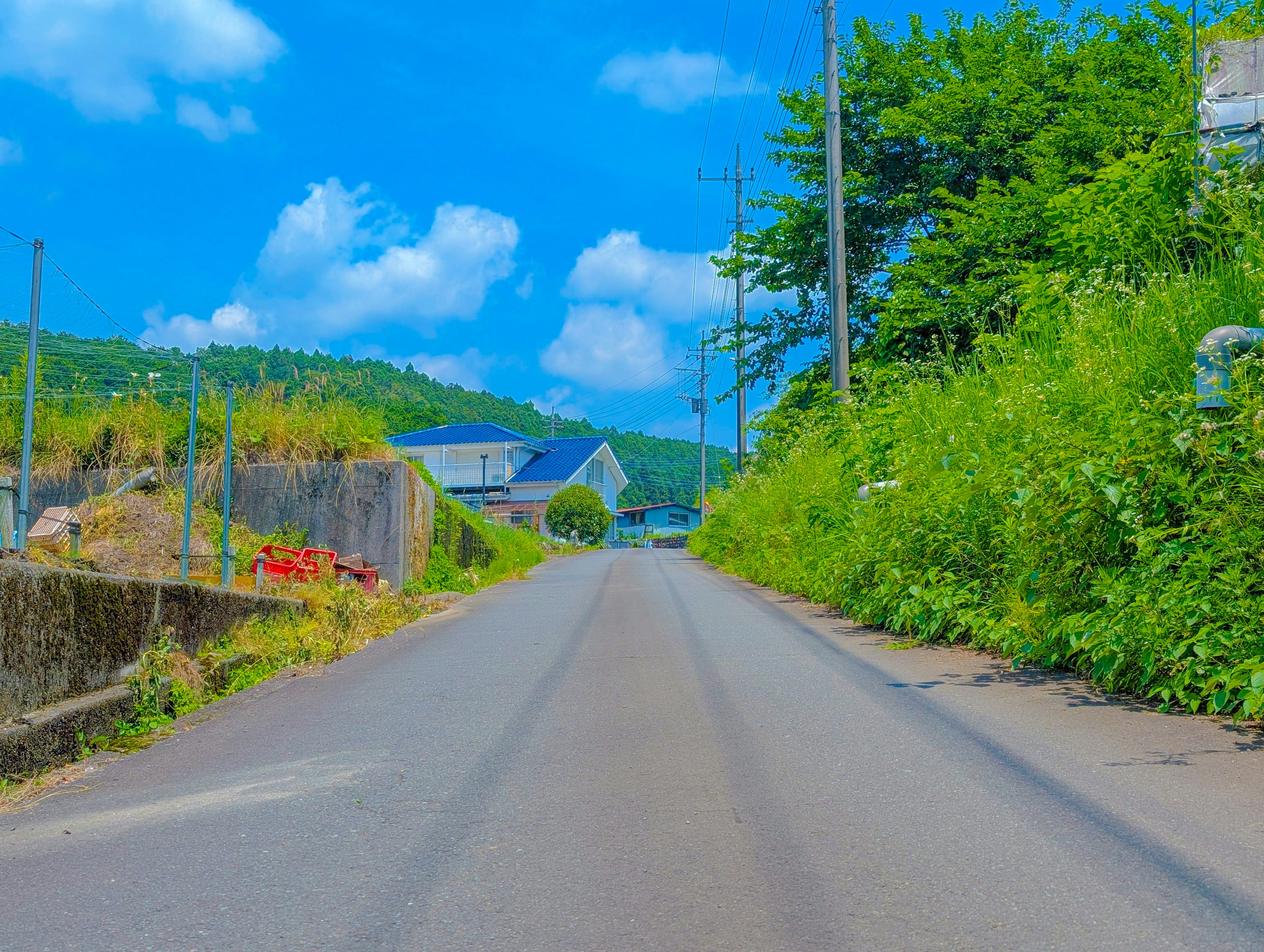 田舎の道沿いに広がる自然と青空の風景