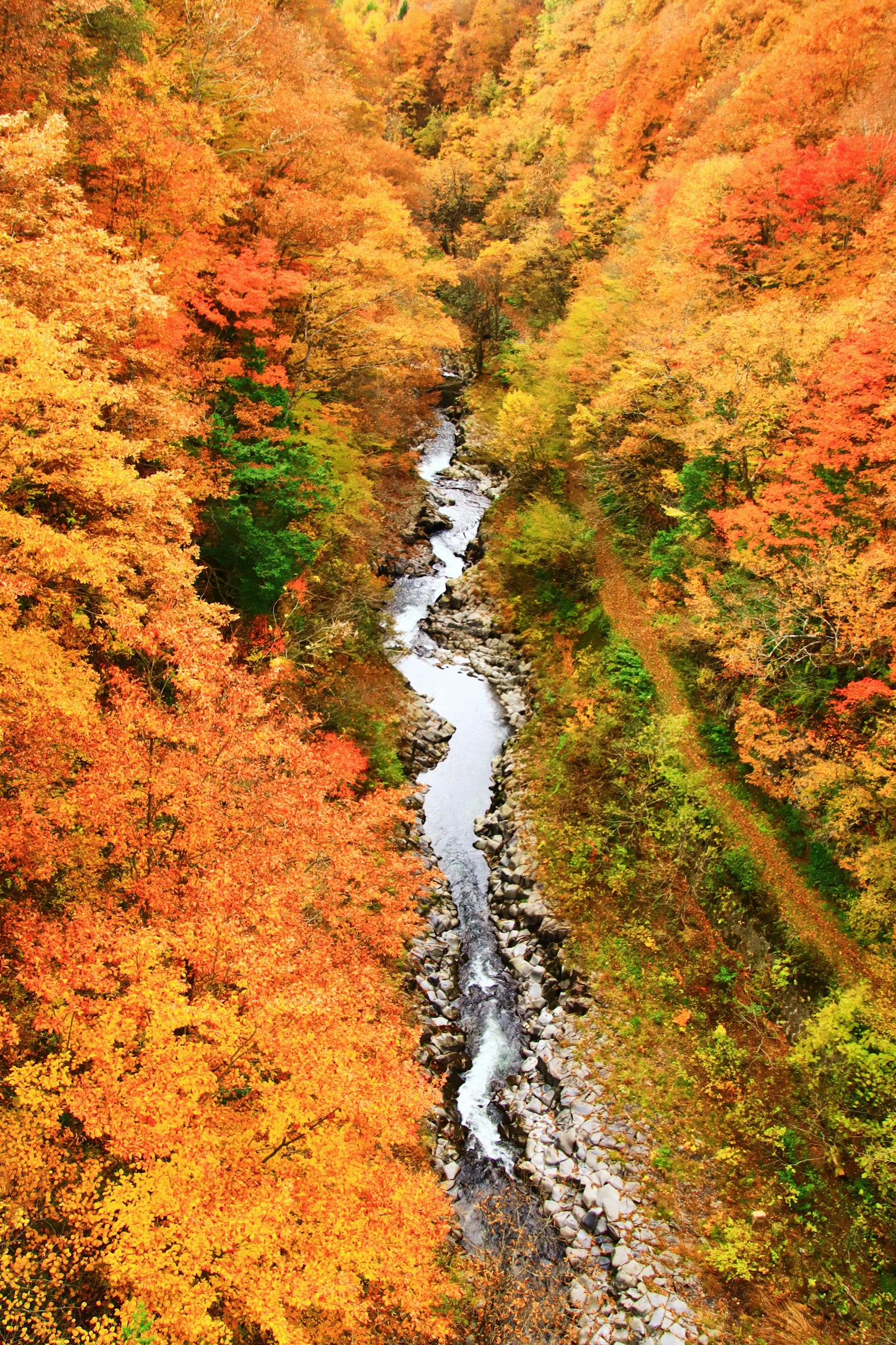 Malersicher Ausblick auf einen Bach umgeben von lebhaftem Herbstlaub