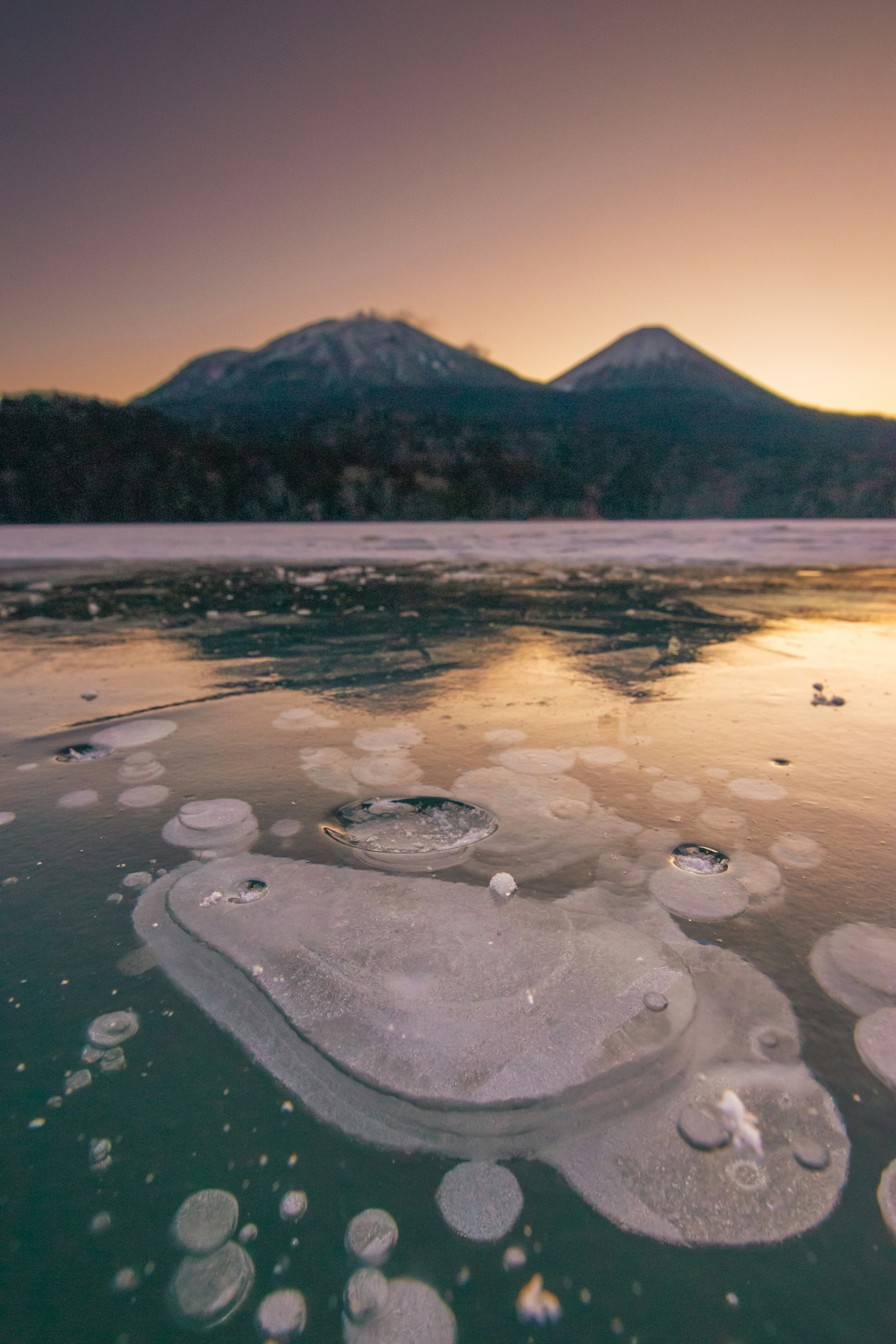 Des bulles de glace sur le rivage à l’aube