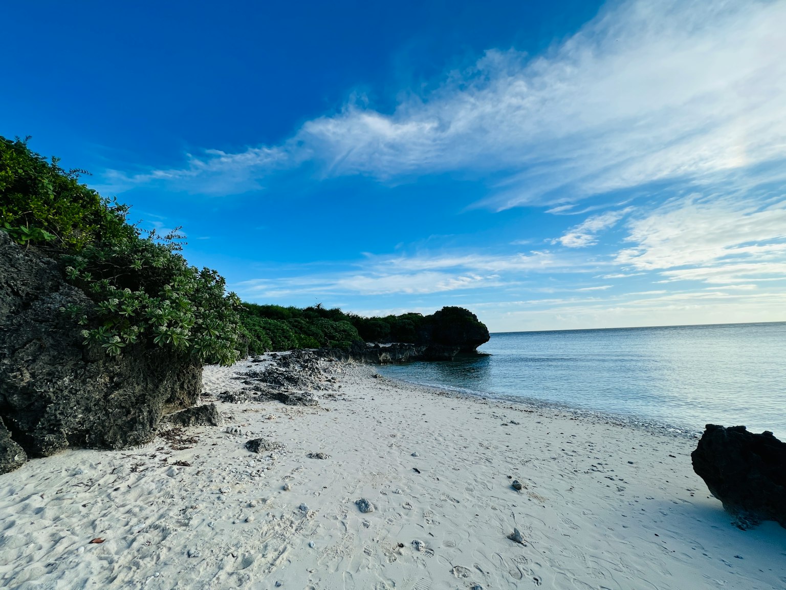 Vue de plage pittoresque avec ciel bleu et sable blanc comprenant des plantes et des rochers