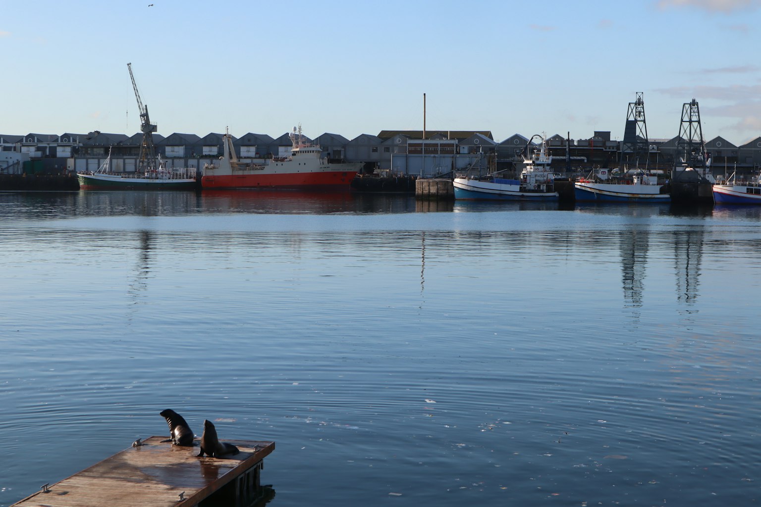 Scène de port tranquille avec des loutres sur un quai et de l'eau calme avec des bateaux et des grues en arrière-plan