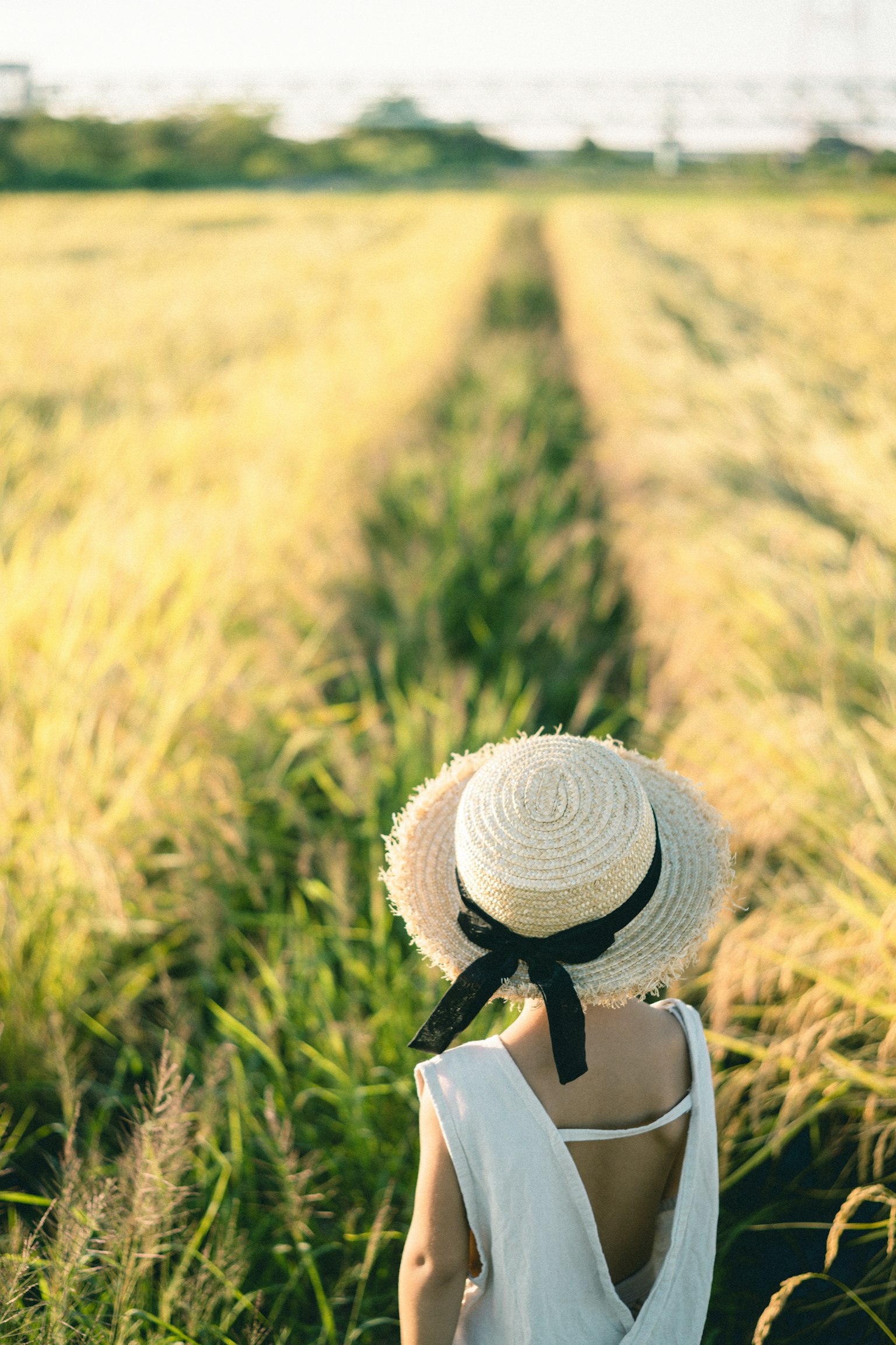Un enfant portant un chapeau de paille se tenant dans un champ serein de blé doré
