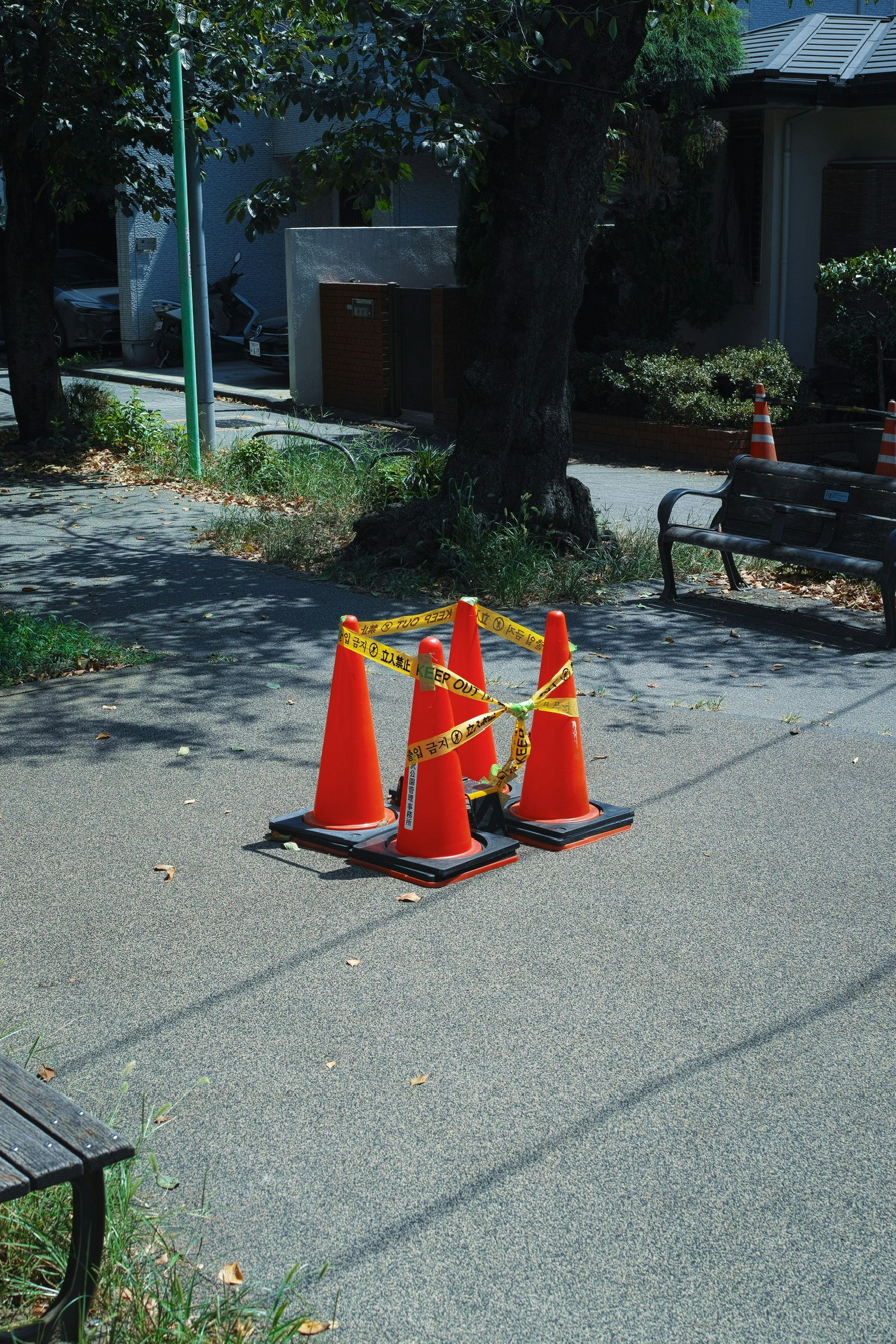 公園通道上的警戒膠帶與路錐