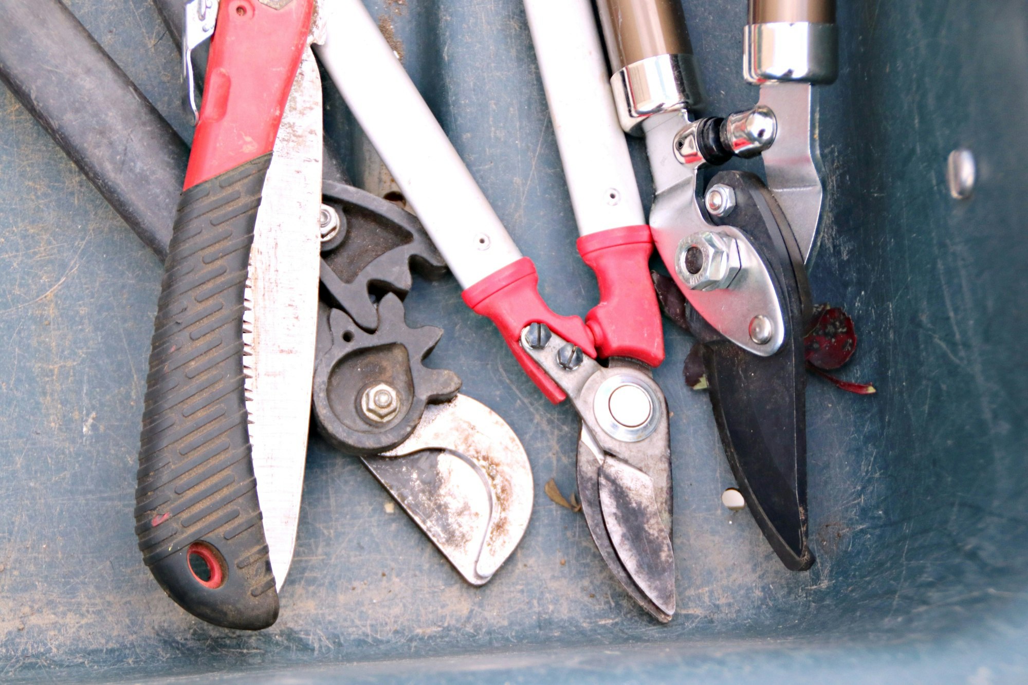 close-up of pliers and cutters in a toolbox