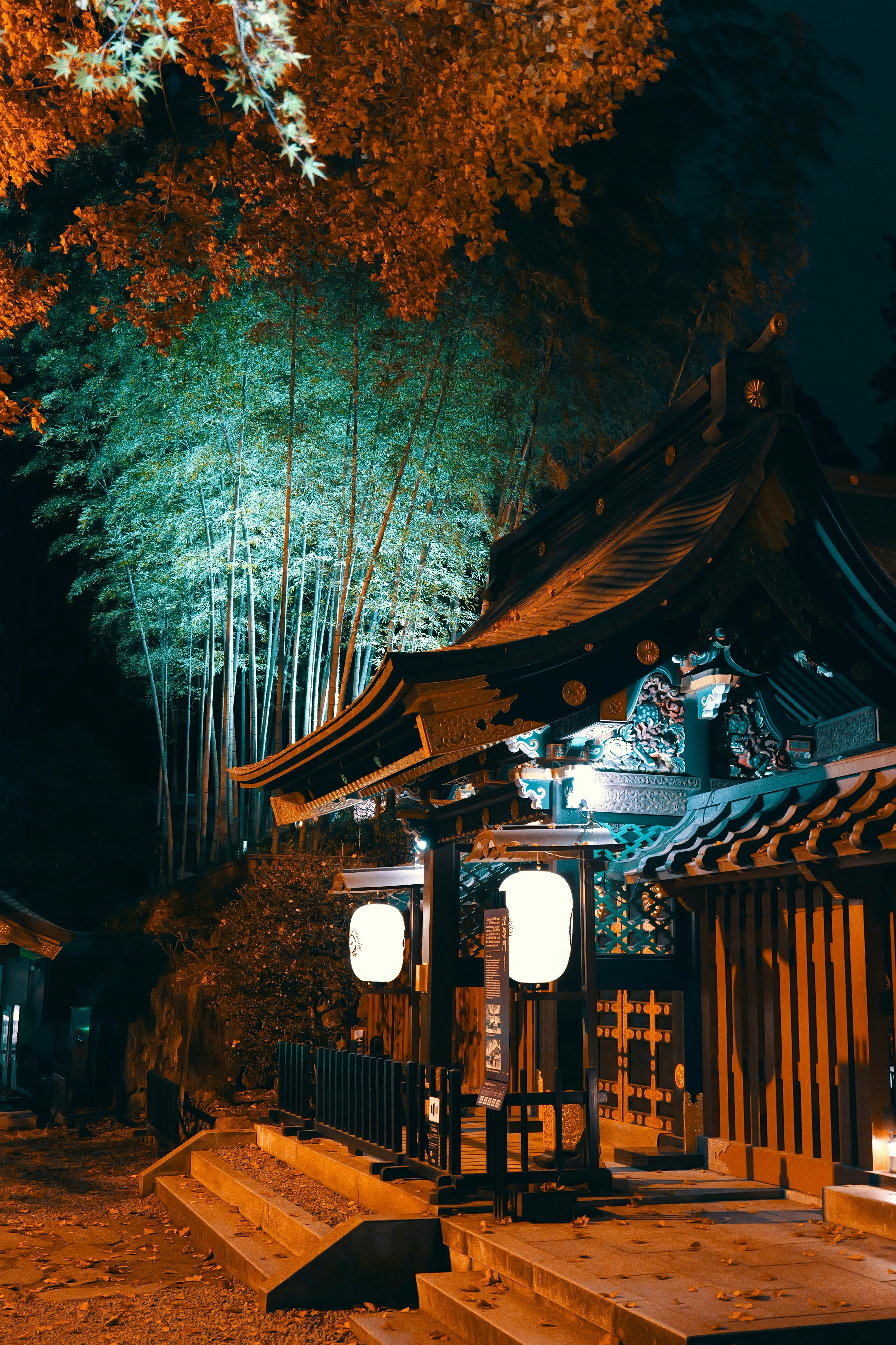 竹林の中の提灯が灯る神社の参道