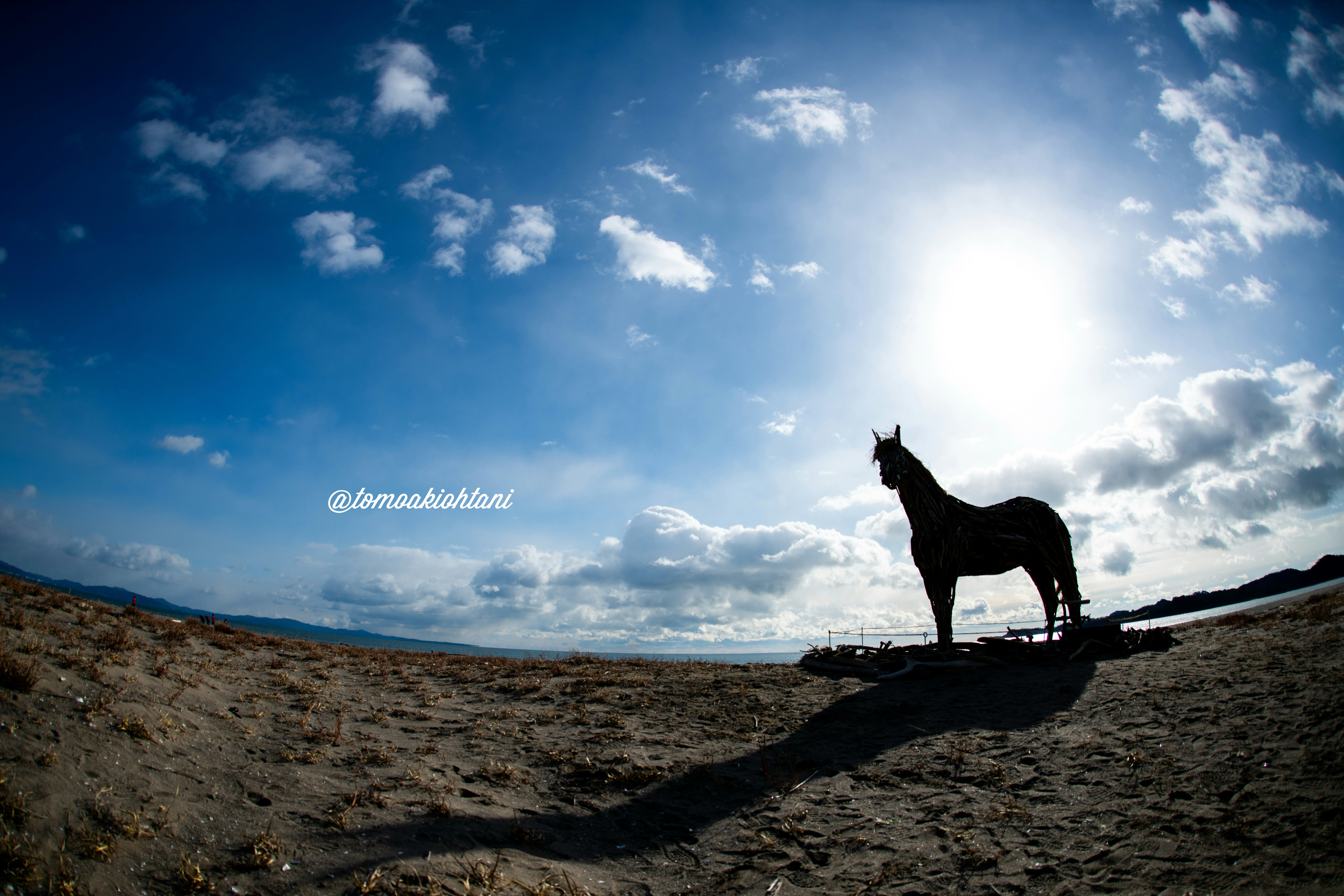 Un cane in piedi su una spiaggia di sabbia ruvida sotto un cielo azzurro