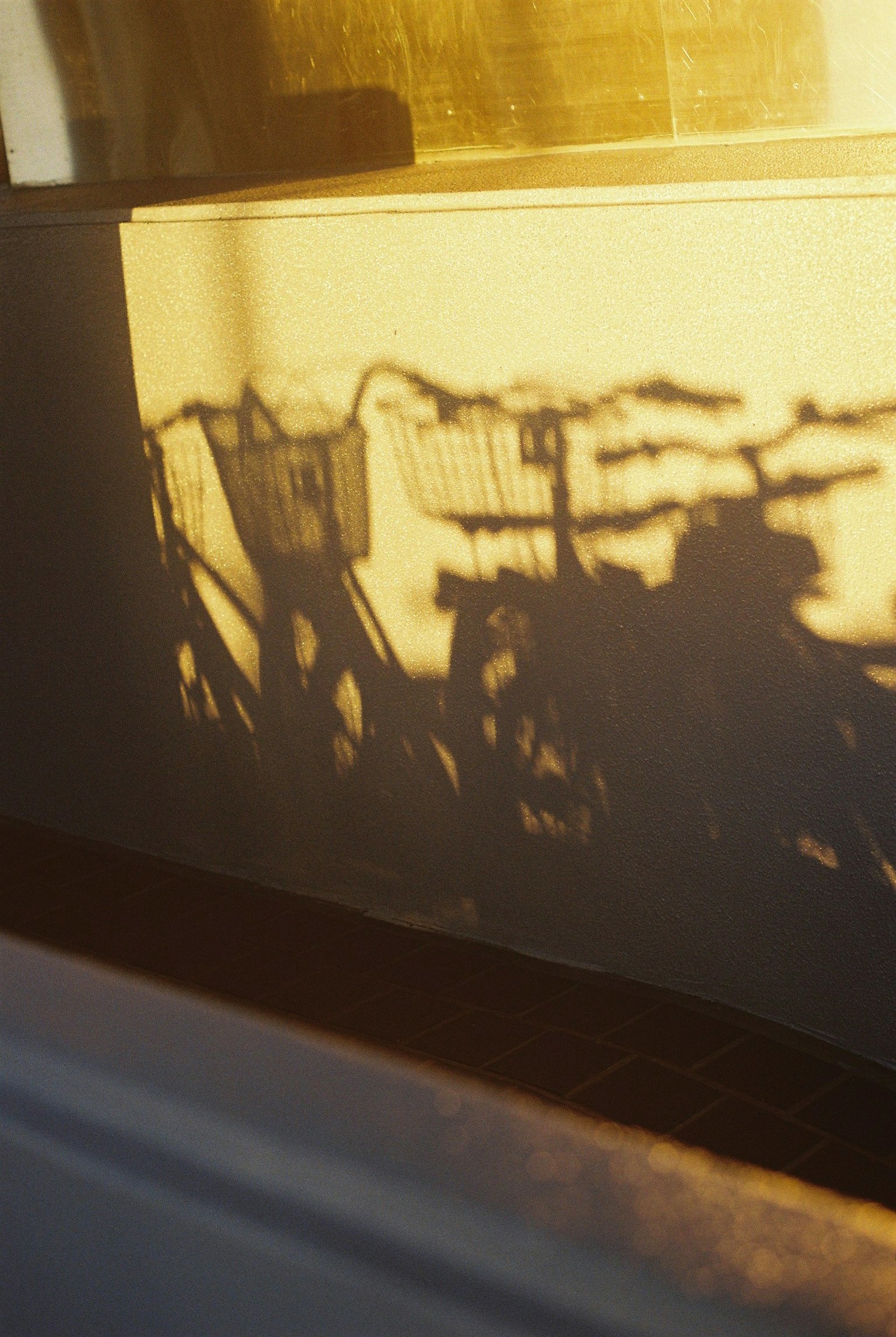 Ombres de vélos projetées sur une fenêtre