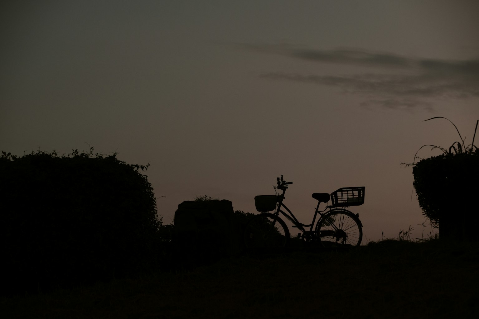 황혼 하늘을 배경으로 한 자전거 실루엣과 낮은 덤불