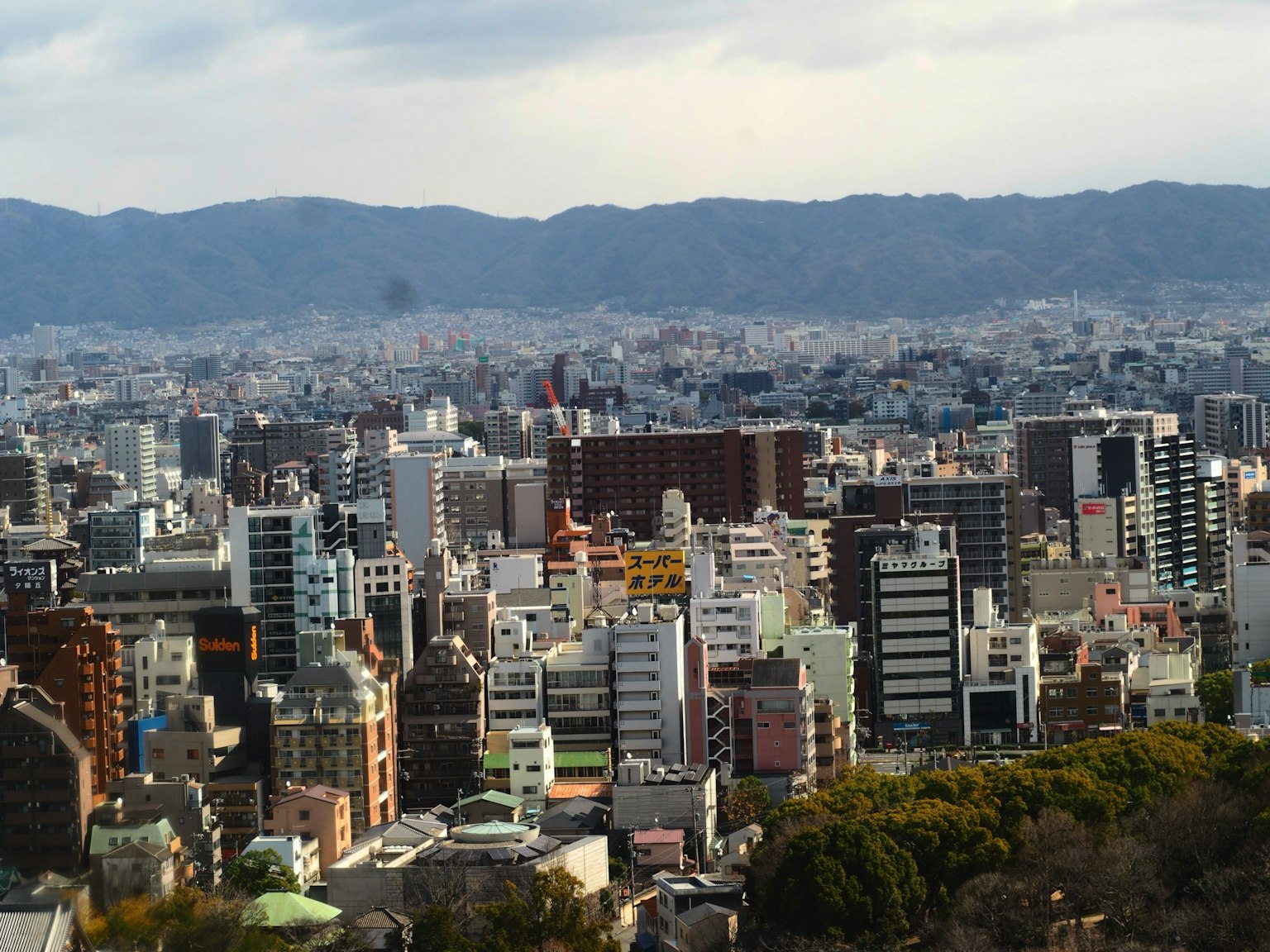 城市全景 特色摩天大樓和山脈