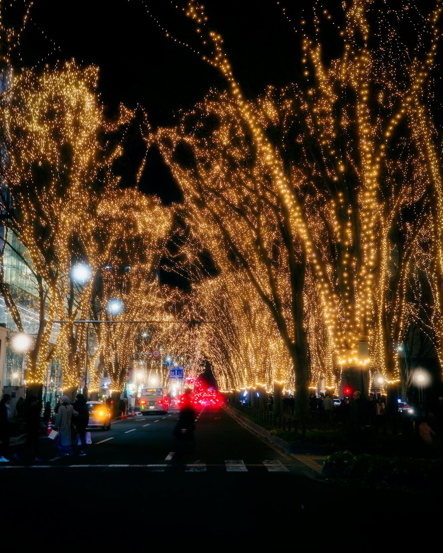 Alberi illuminati lungo una strada di notte con pedoni