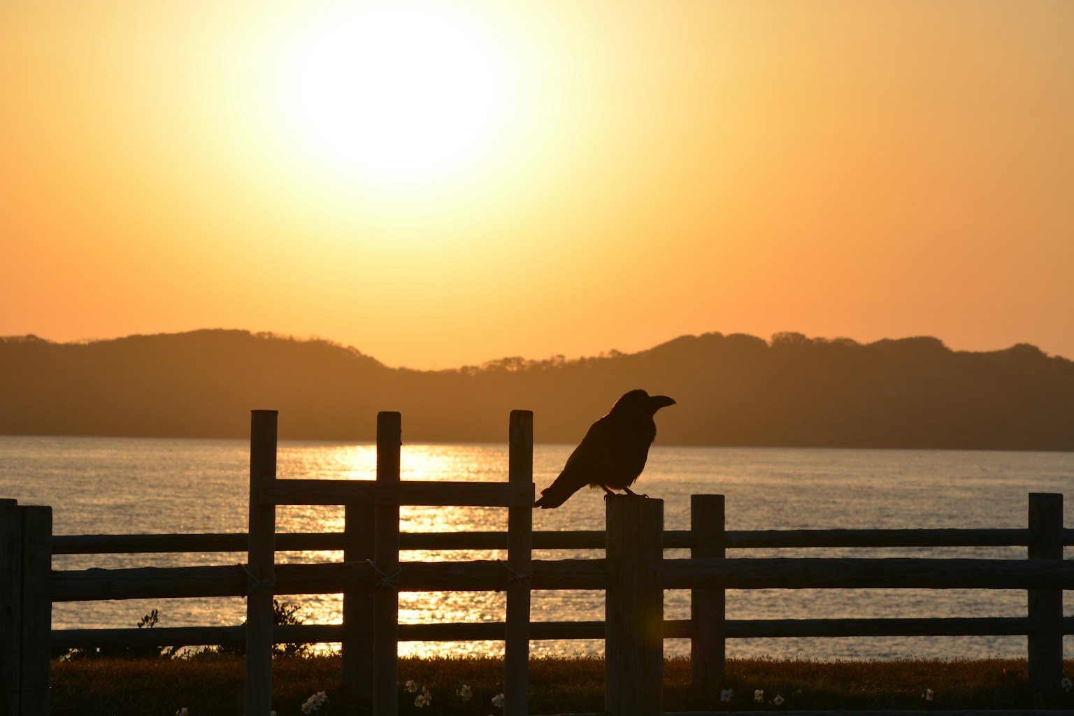 เงาของนกบนรั้วในขณะที่พระอาทิตย์ตกดินเหนือทะเลสาบ