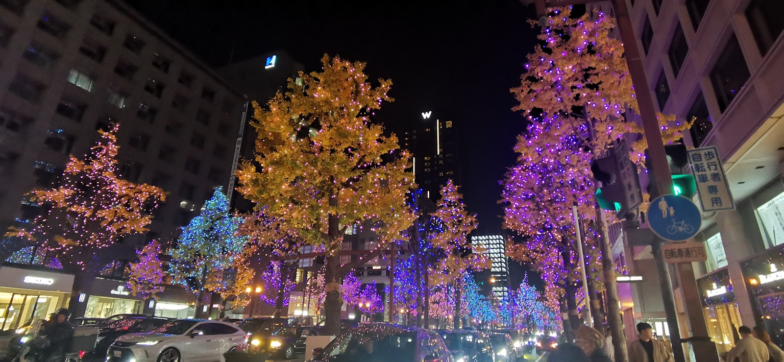 Colorful illuminated trees in a city street at night
