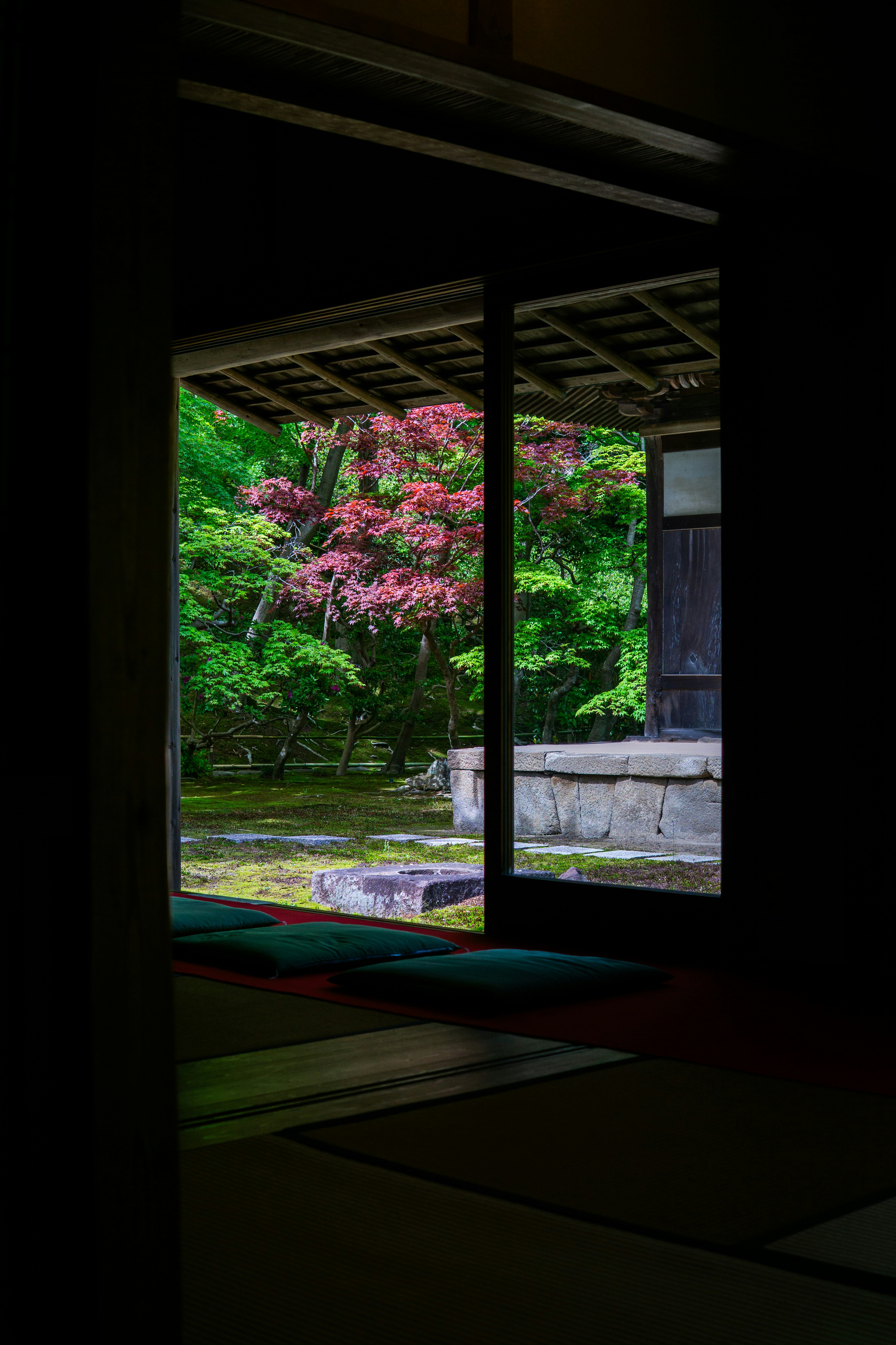 縁側の障子越しに見える庭の桜の木