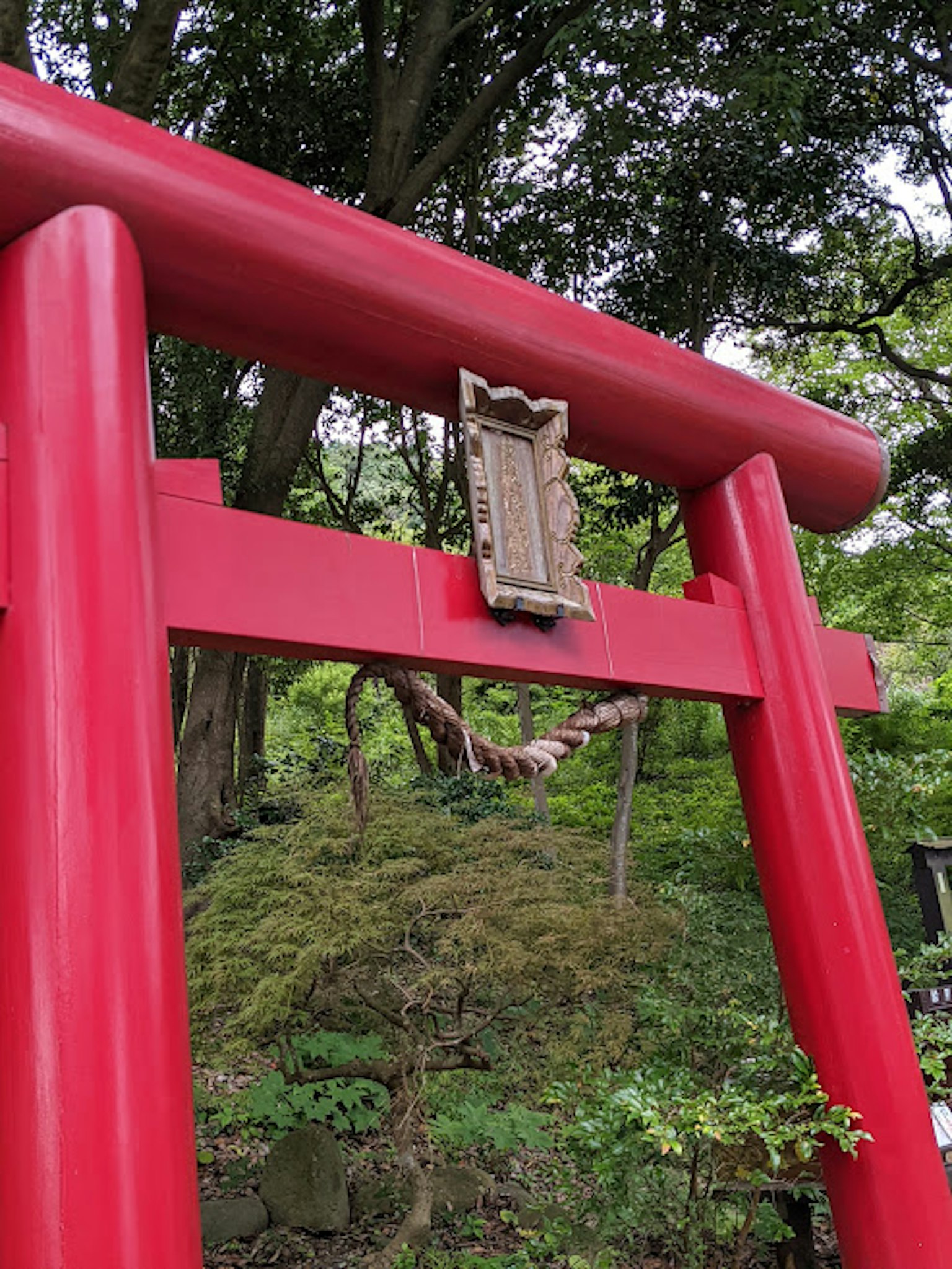 Red torii gate with a wooden plaque surrounded by greenery