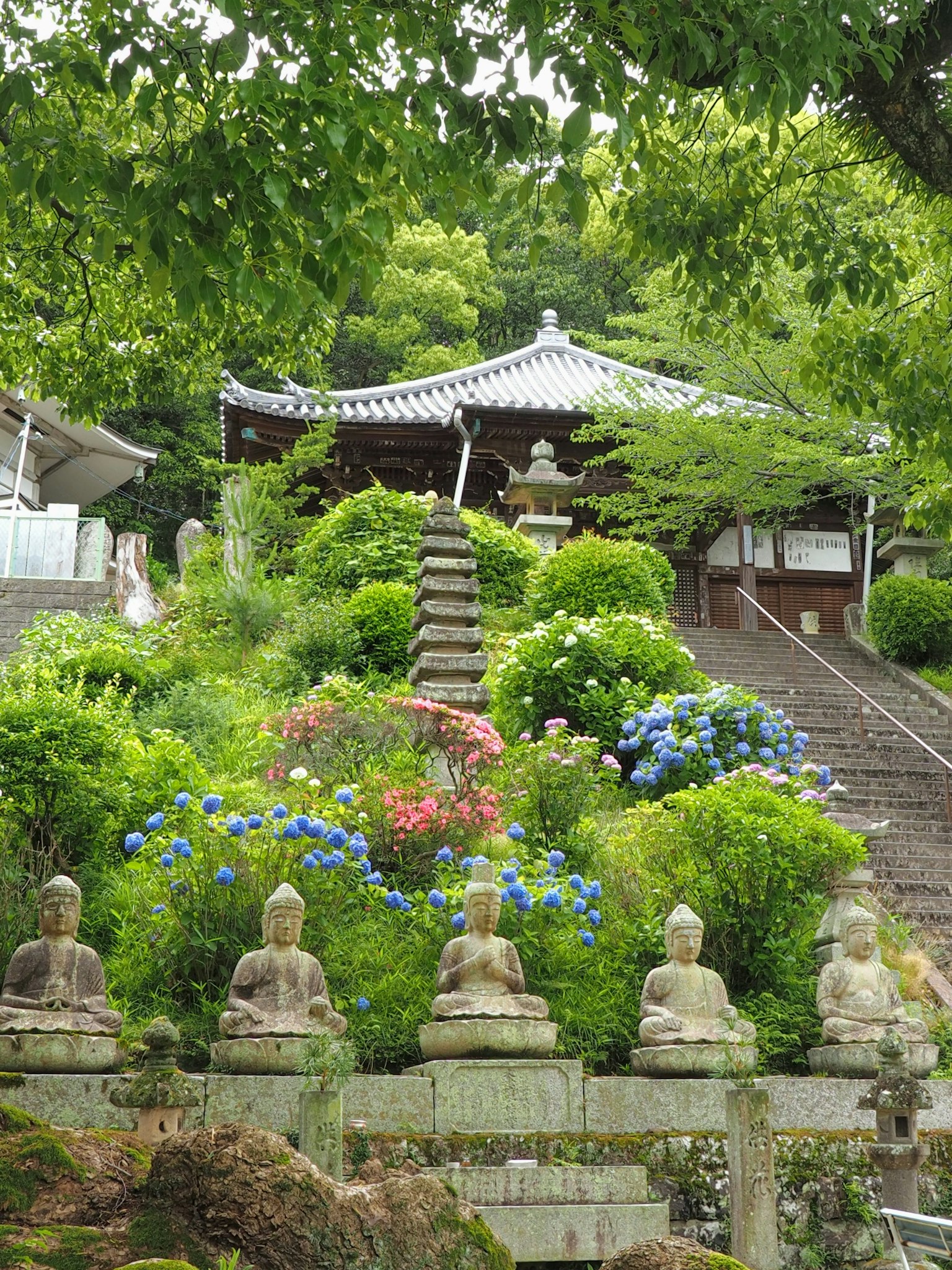Temple avec des escaliers entourés de feuillage vert et de statues de Bouddha