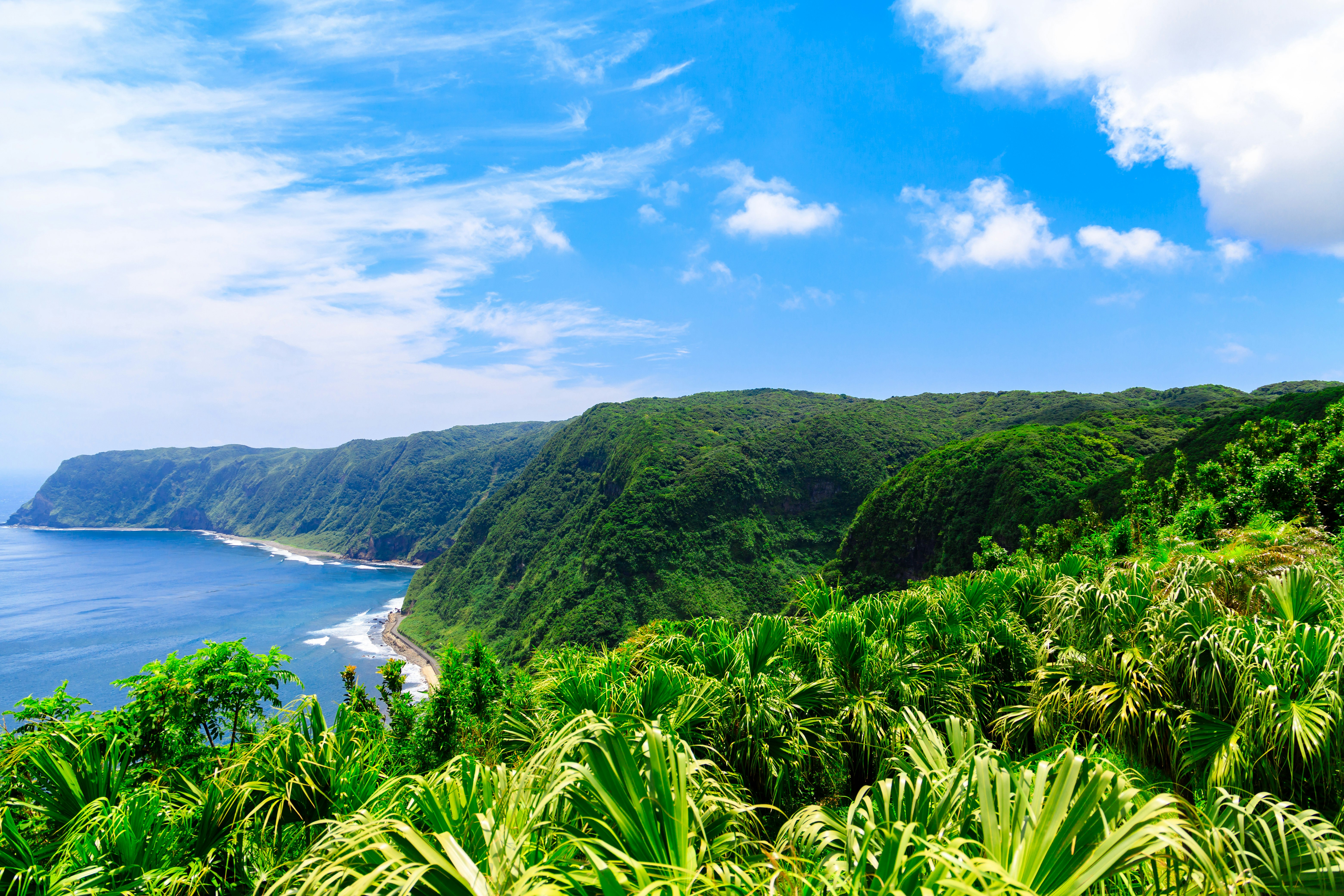 scogliere costiere e rigogliosa vegetazione tropicale sopra la riva