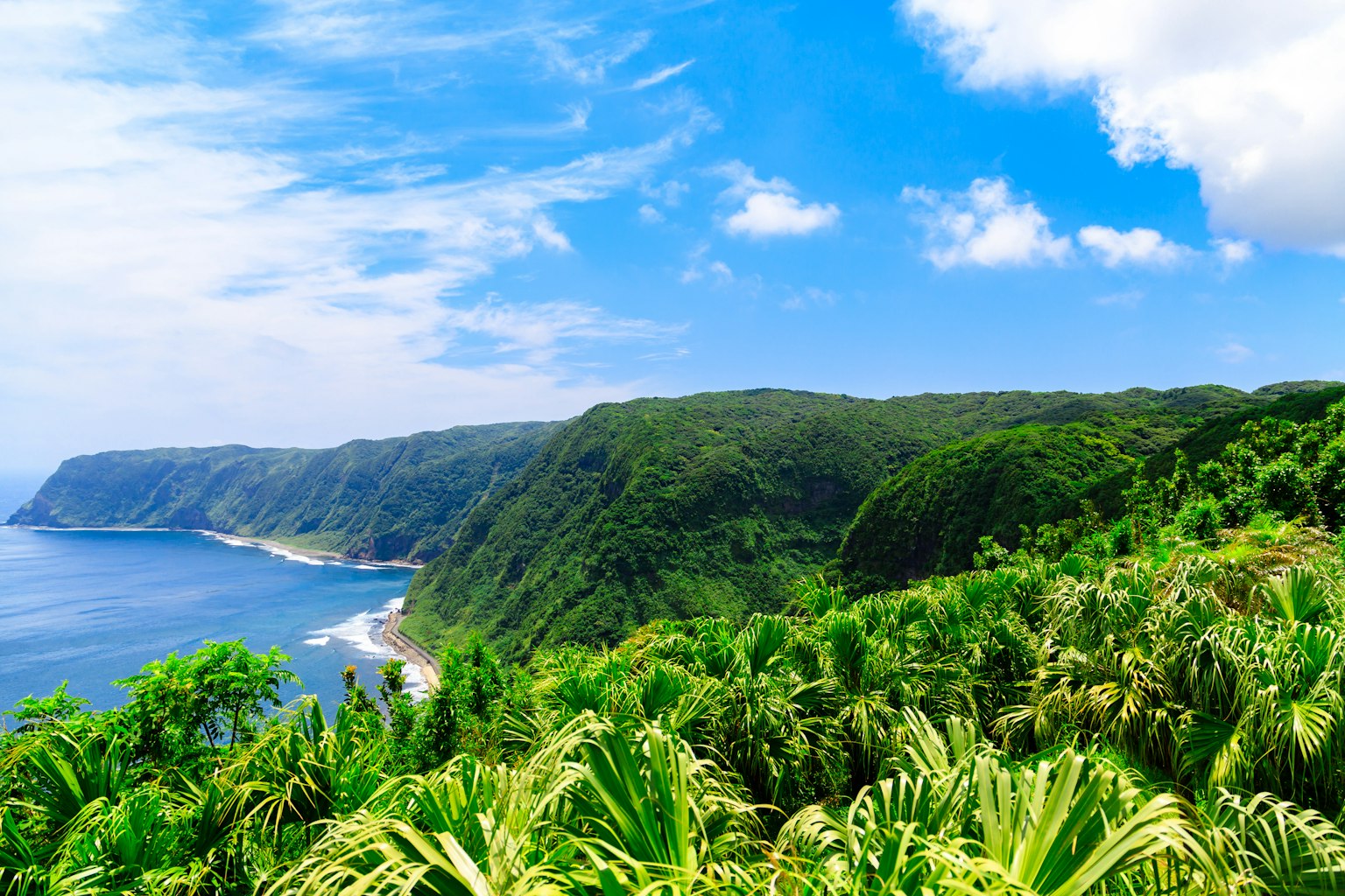 Panoramablick auf den blauen Ozean und grüne Berge