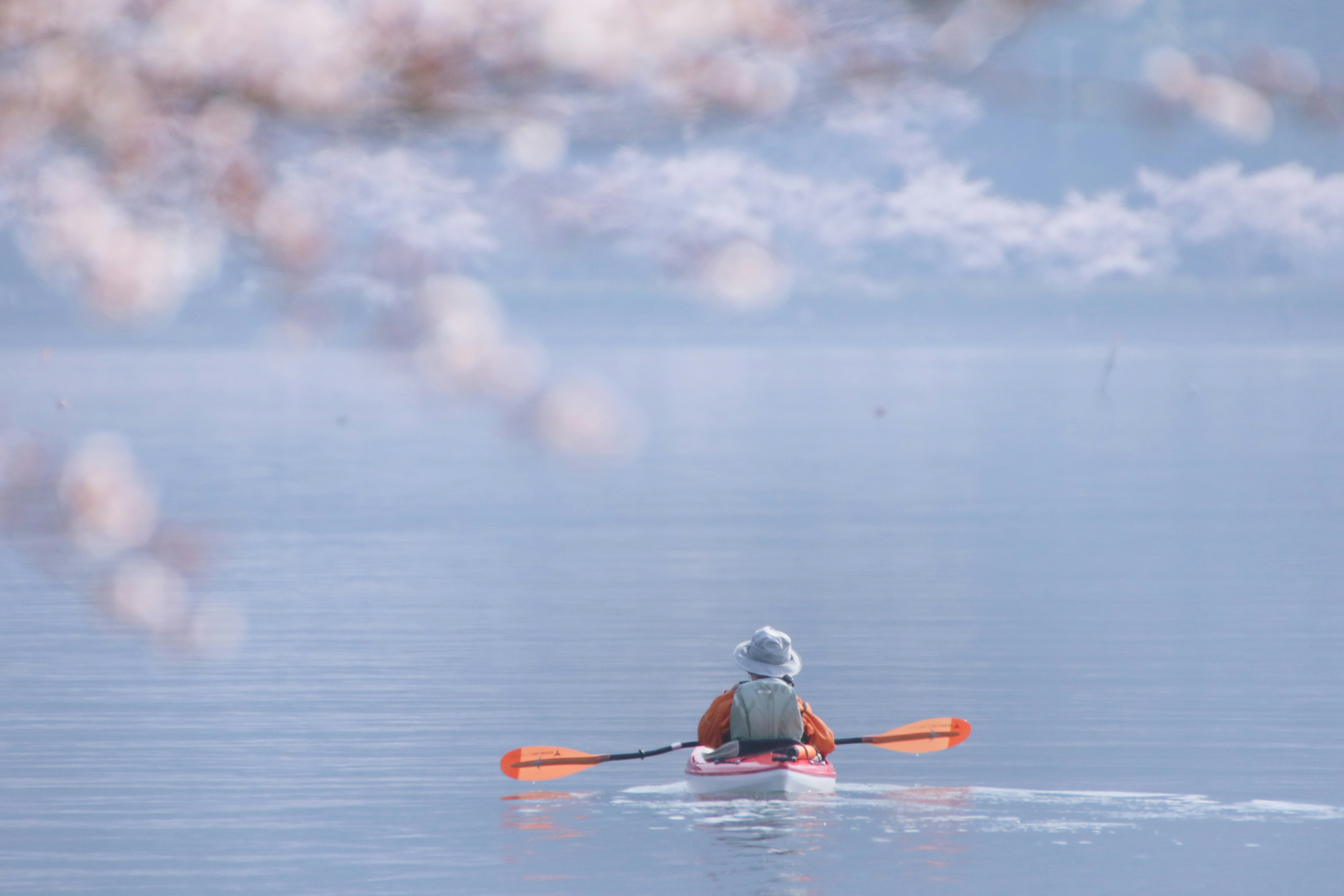 春の水辺でカヌーに乗る人の後ろ姿