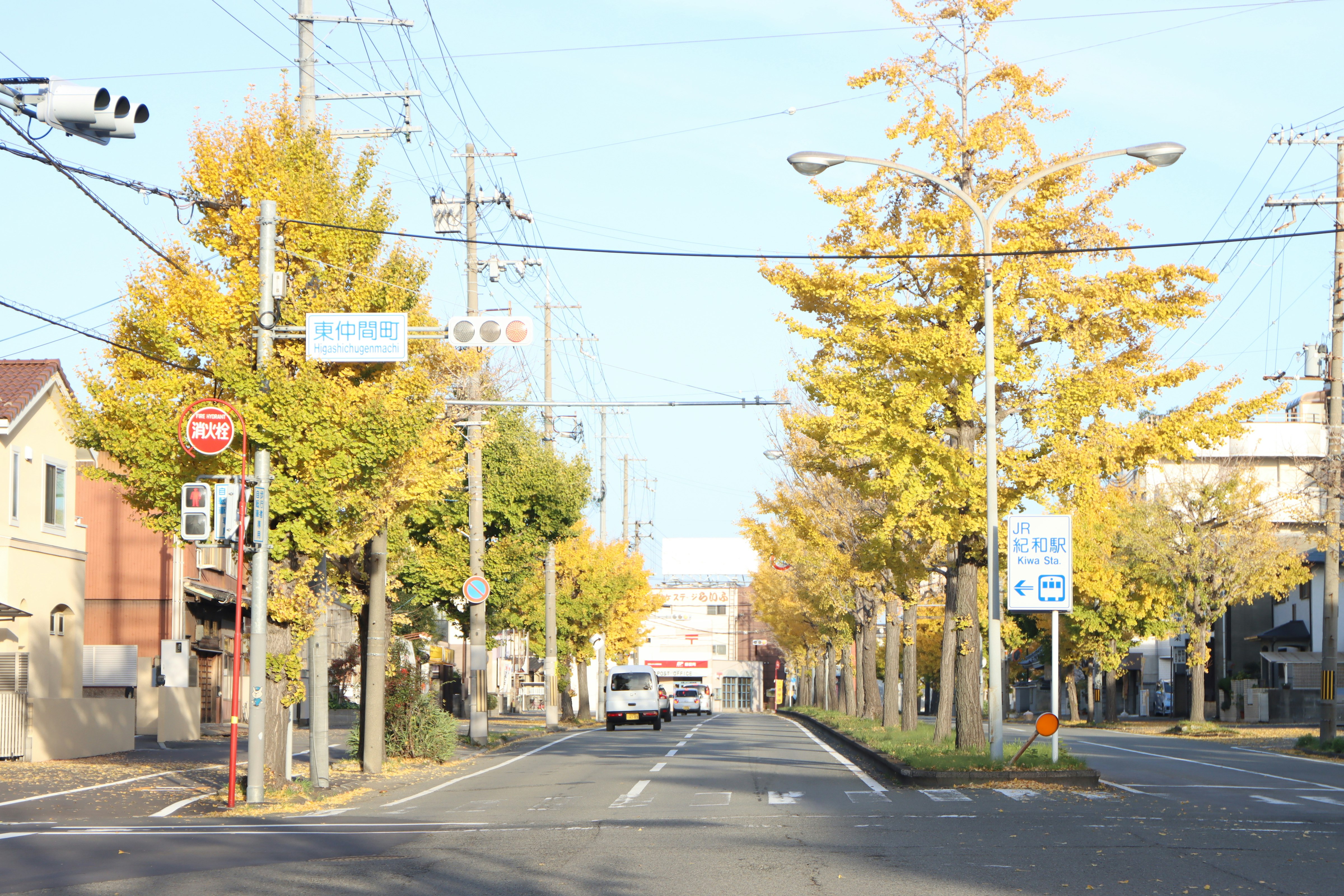Vorstadtstraße mit Allee aus Bäumen und blauem Himmel