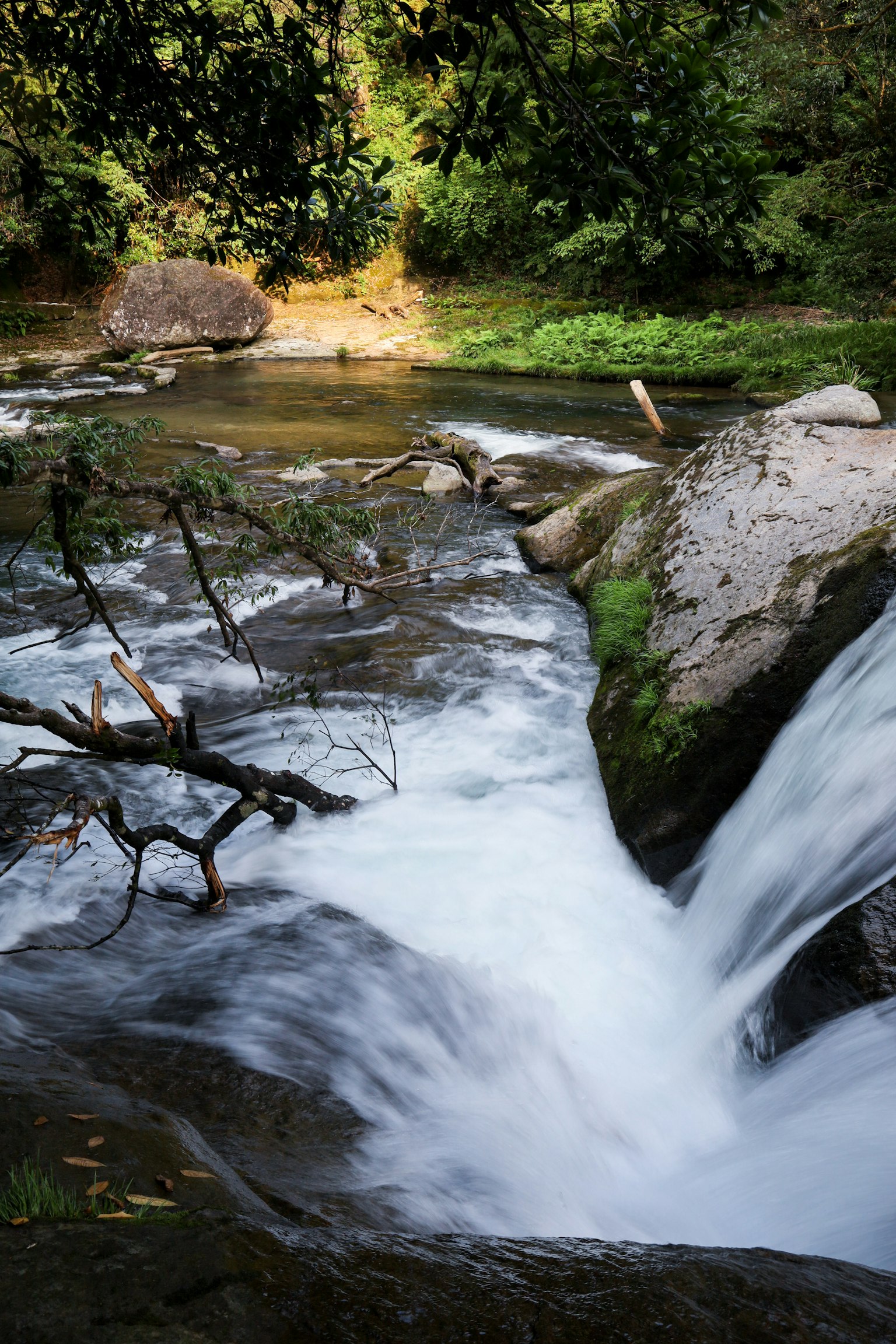 Ein ruhiger Wasserfall, der über Felsen fließt, umgeben von üppigem Grün