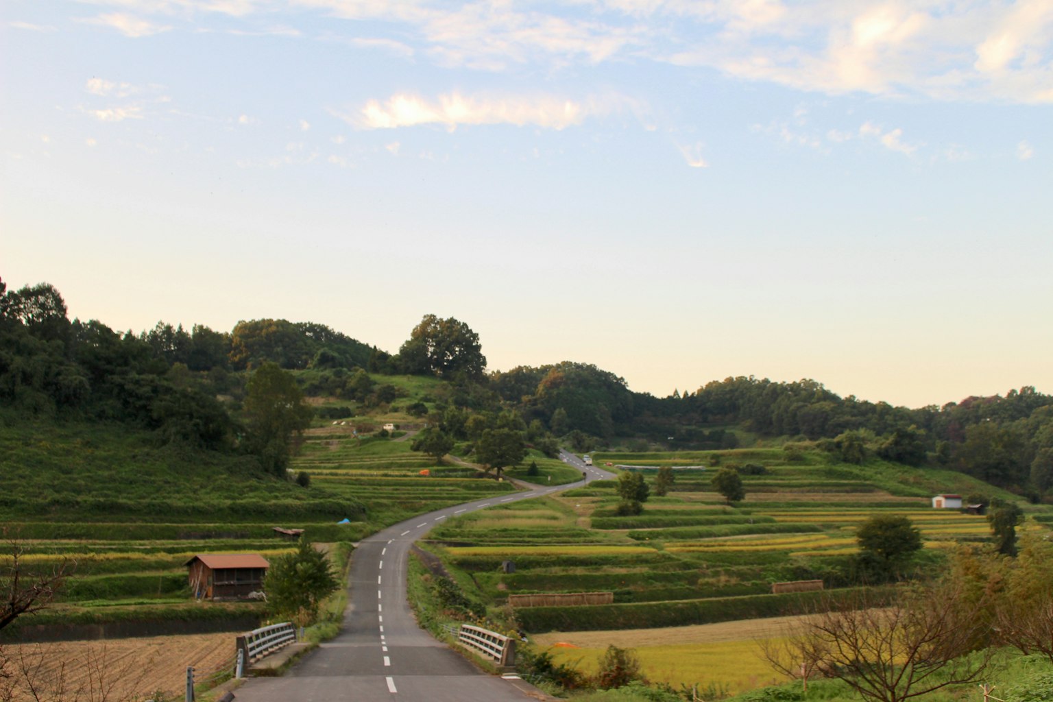 Malersches ländliches Landschaftsbild mit grünen Reisfeldern und einer kurvenreichen Straße