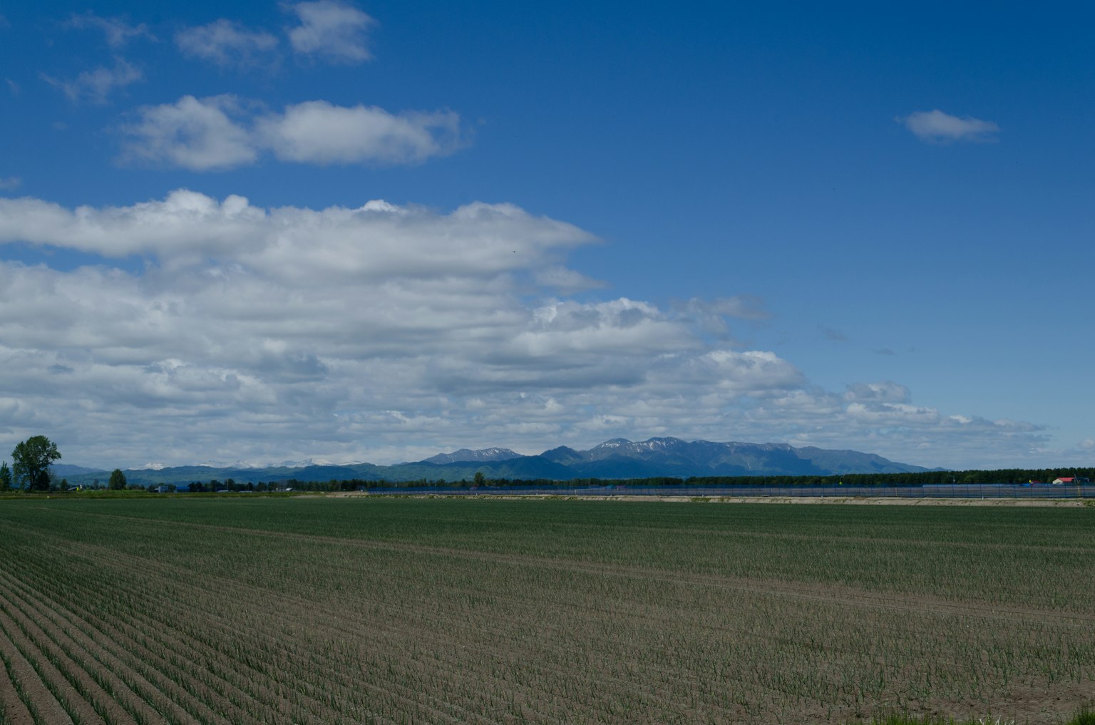 Vast agricultural landscape under a blue sky with clouds and distant mountains