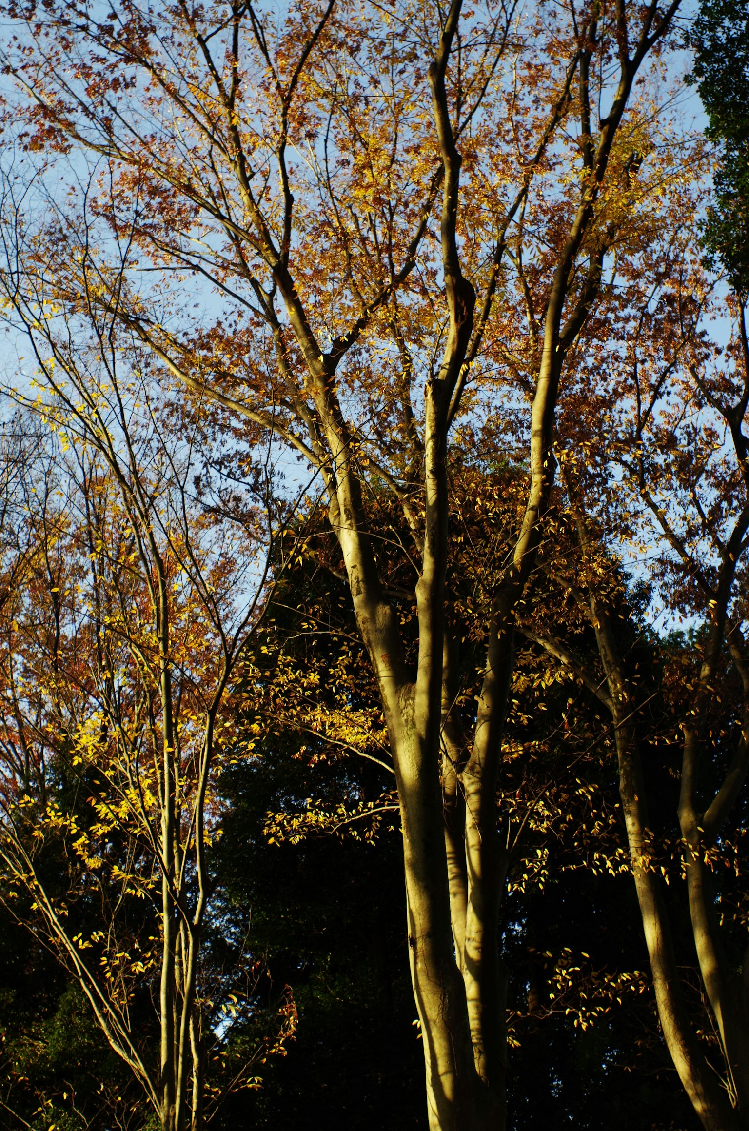 暗い背景にシンプルなグラフィックデザイン