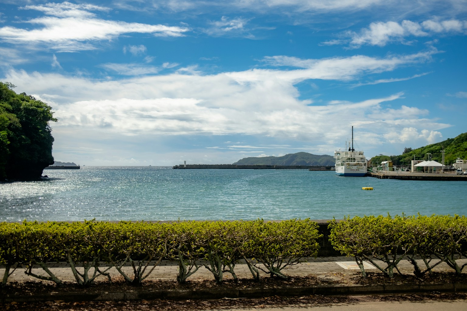 青い空と海の景色 緑の木々と整った低い生け垣 船が停泊する港