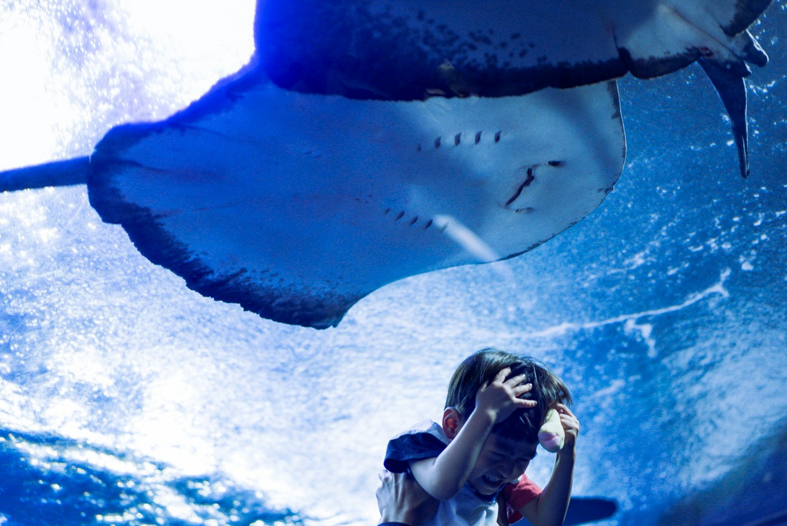 photo-CKEu5LFq2WUBU4jZ7oW1-image