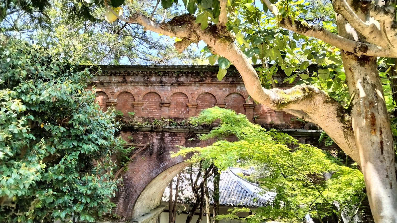 Antico arco in mattoni circondato da vegetazione lussureggiante e alberi