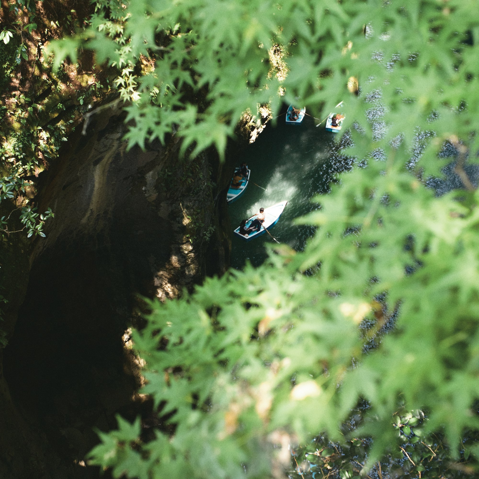 木陰の草むらに置かれた小さな写真立て
