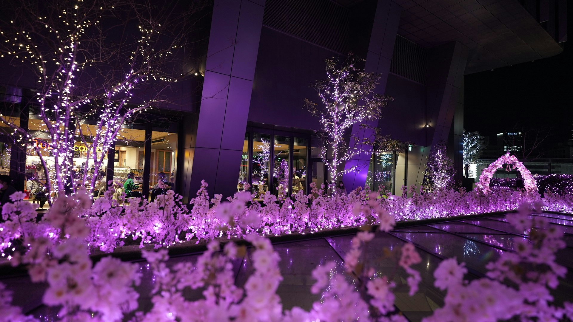 紫のイルミネーションと桜のような光が並ぶ夜の庭園