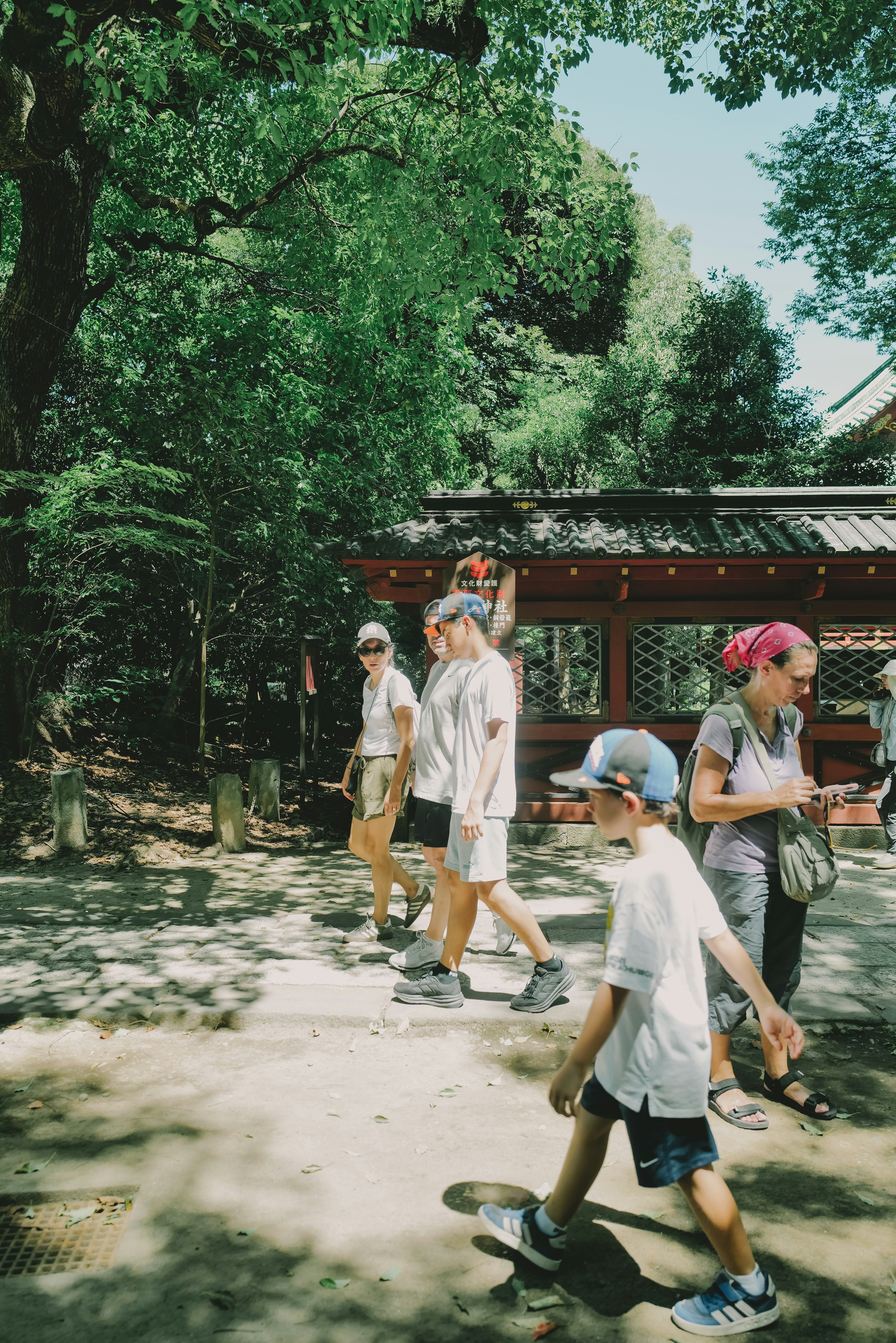 family walking in a park lined with green trees