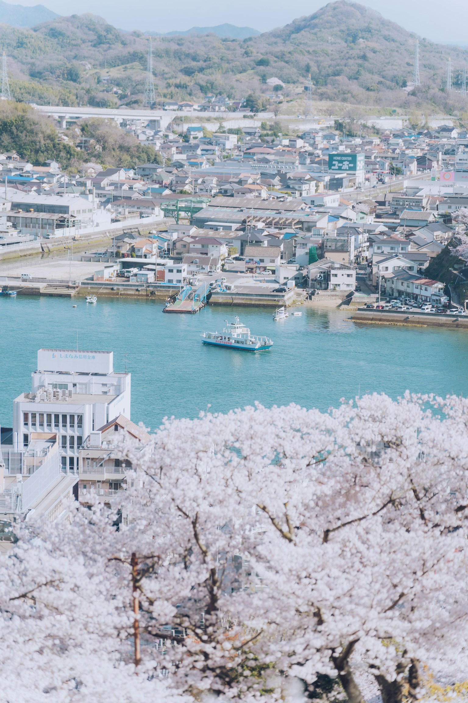 Scenic view of cherry blossoms and a harbor town