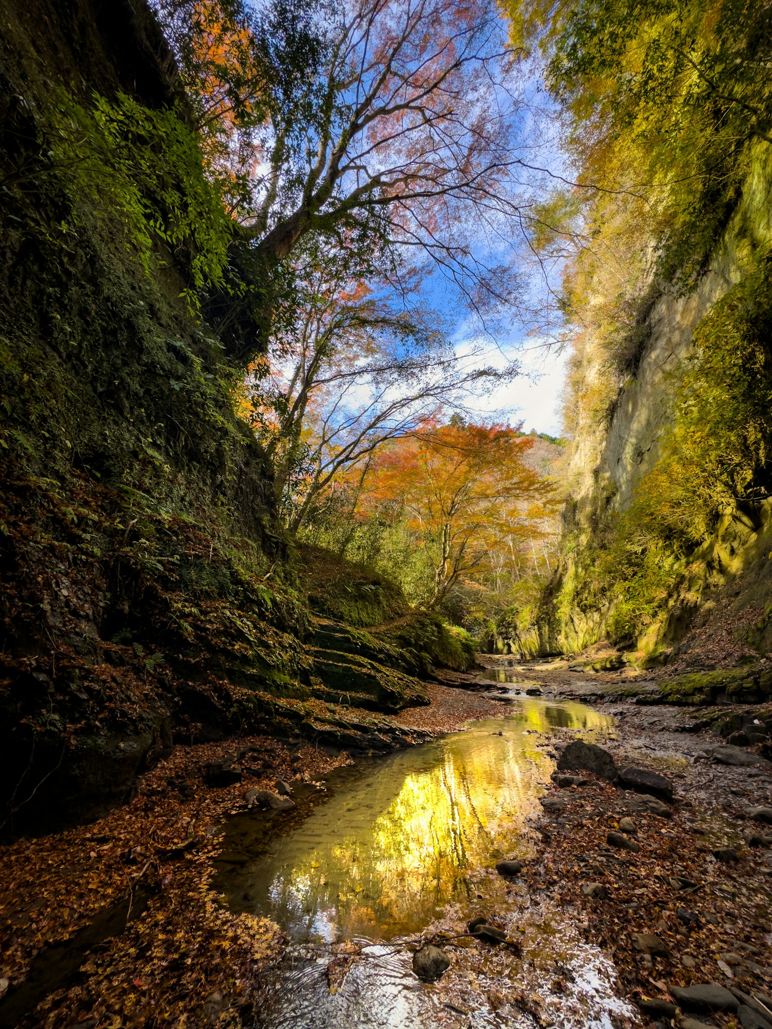 Scenic view of a canyon with colorful trees and autumn reflections in water
