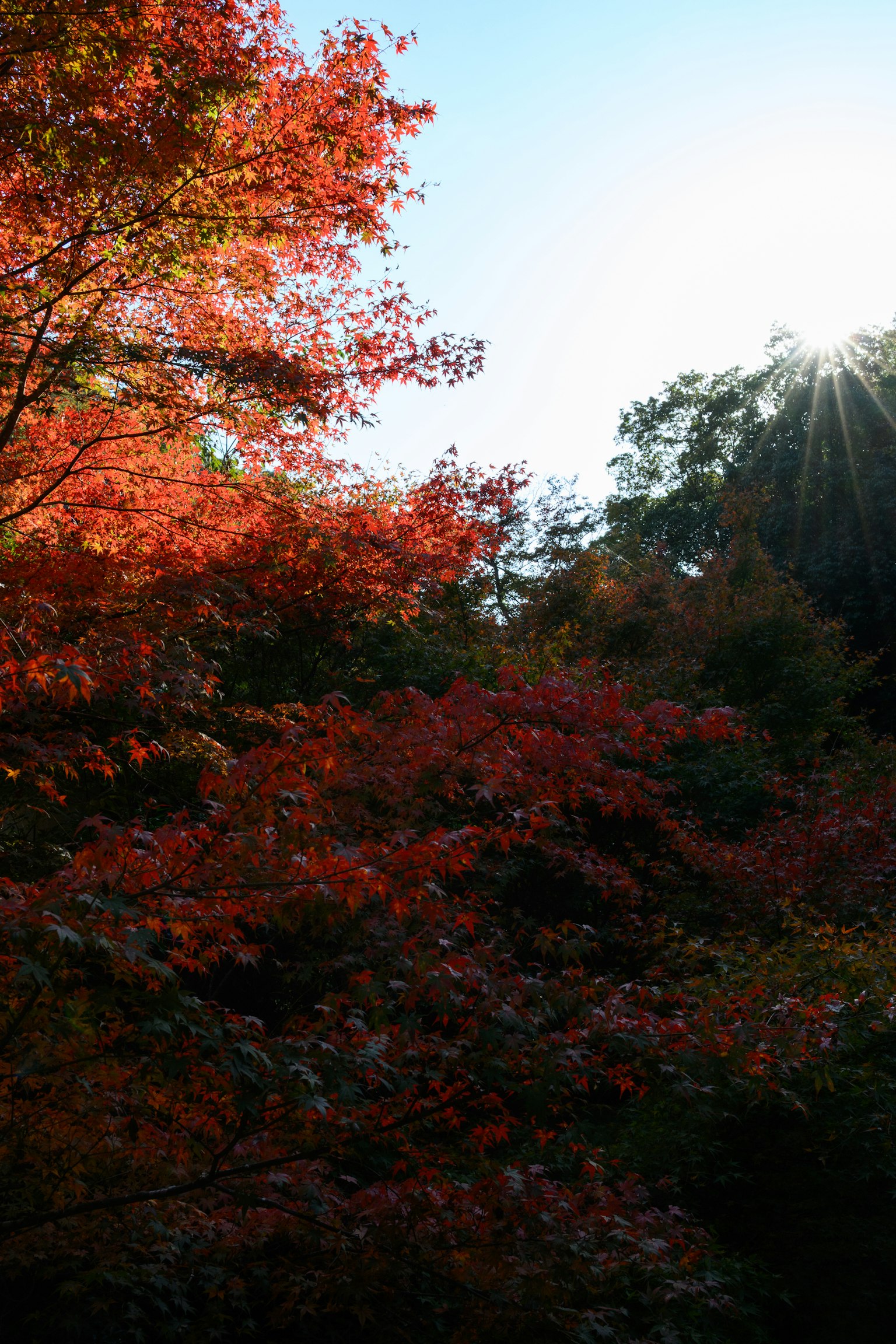 photo-CMLSimXUbcEylz6vlM6b-image