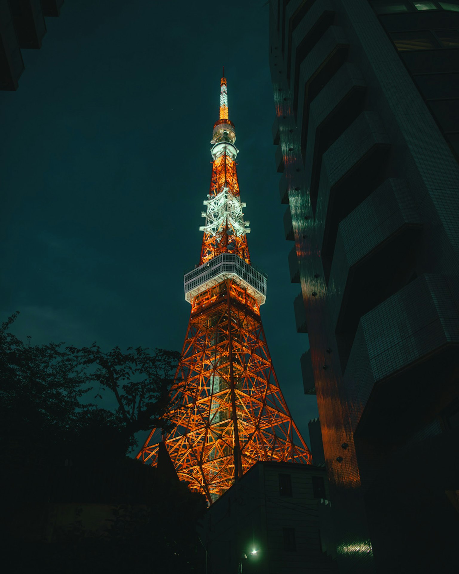 Tháp Tokyo được chiếu sáng vào ban đêm với ánh sáng cam rực rỡ