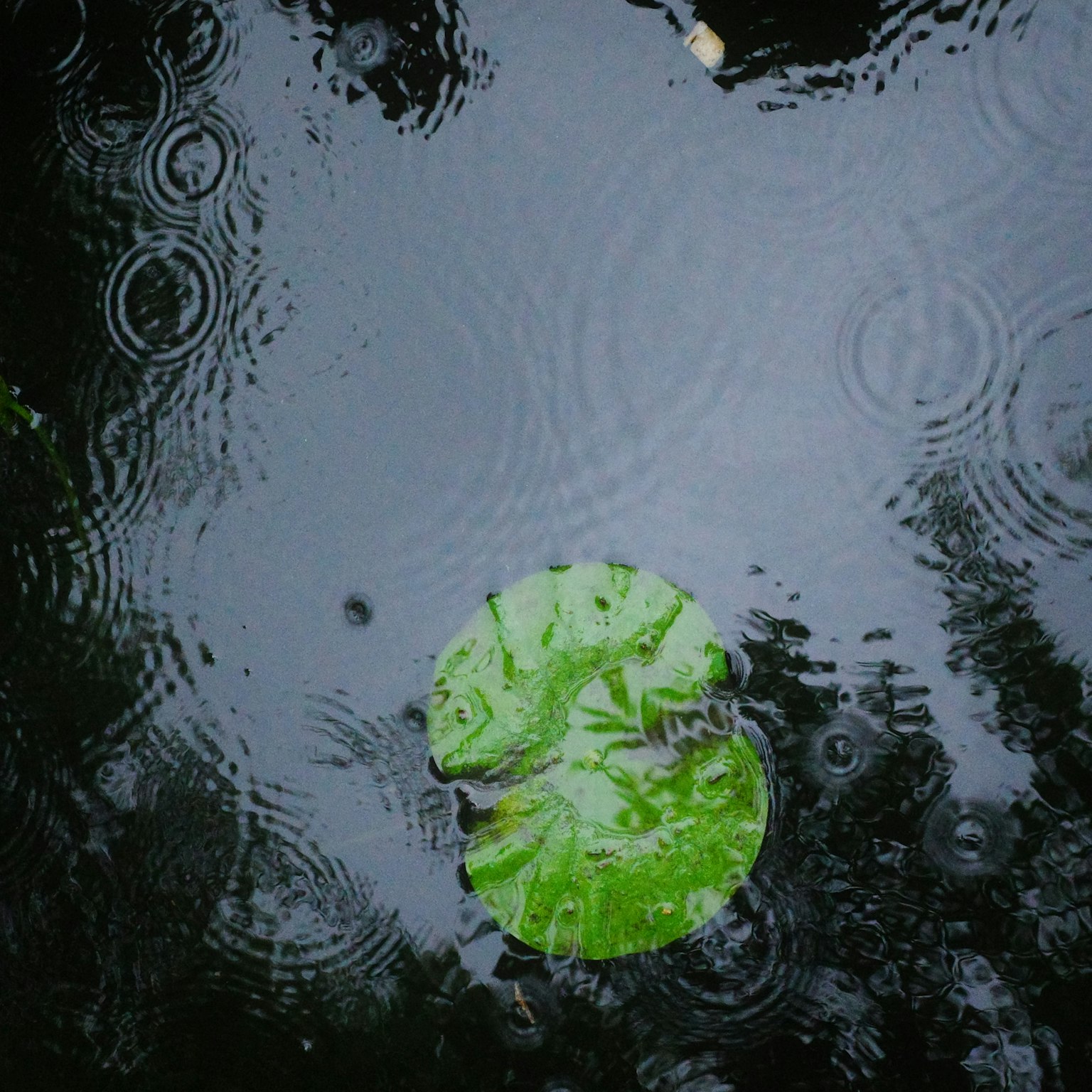 photo-CNIgulKdWi7Dt9Y7LykO-image