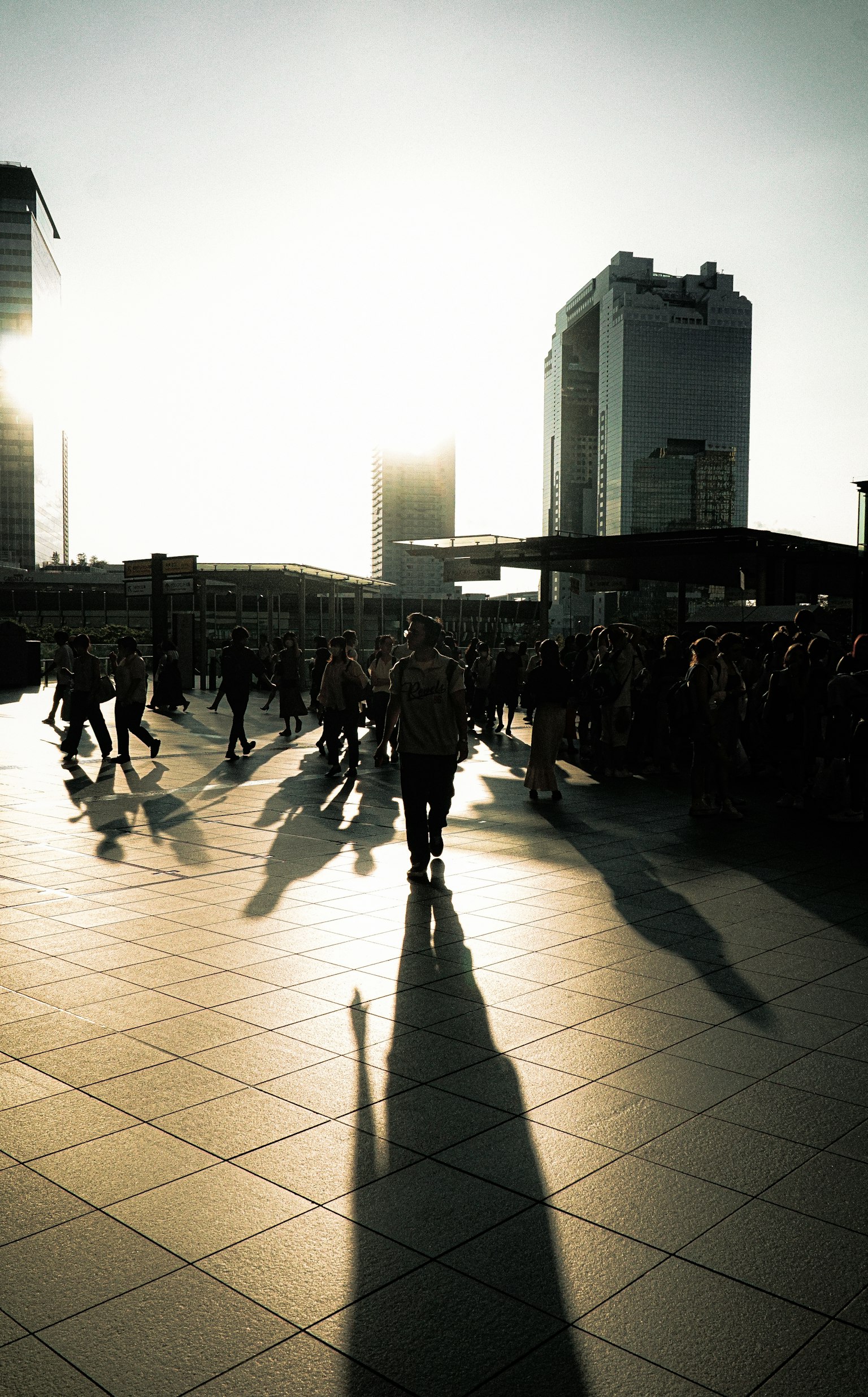 Silhouettes de personnes marchant sous le coucher de soleil avec de longues ombres