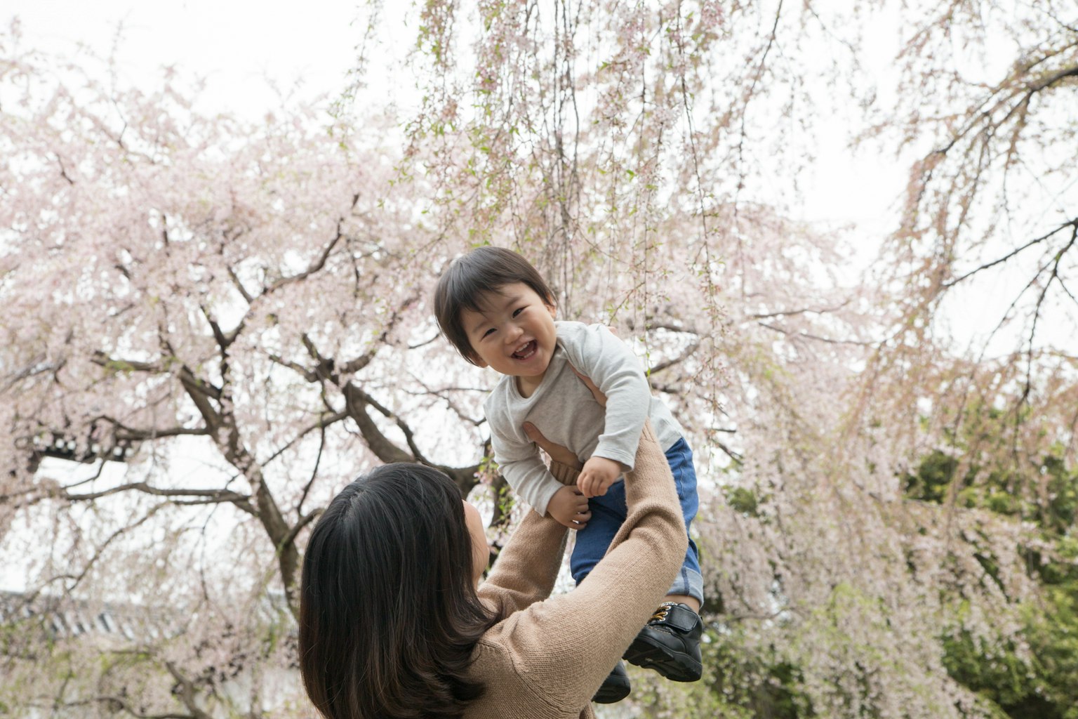 Người mẹ nâng đứa trẻ lên trong khung cảnh mùa xuân với cây anh đào ở phía sau