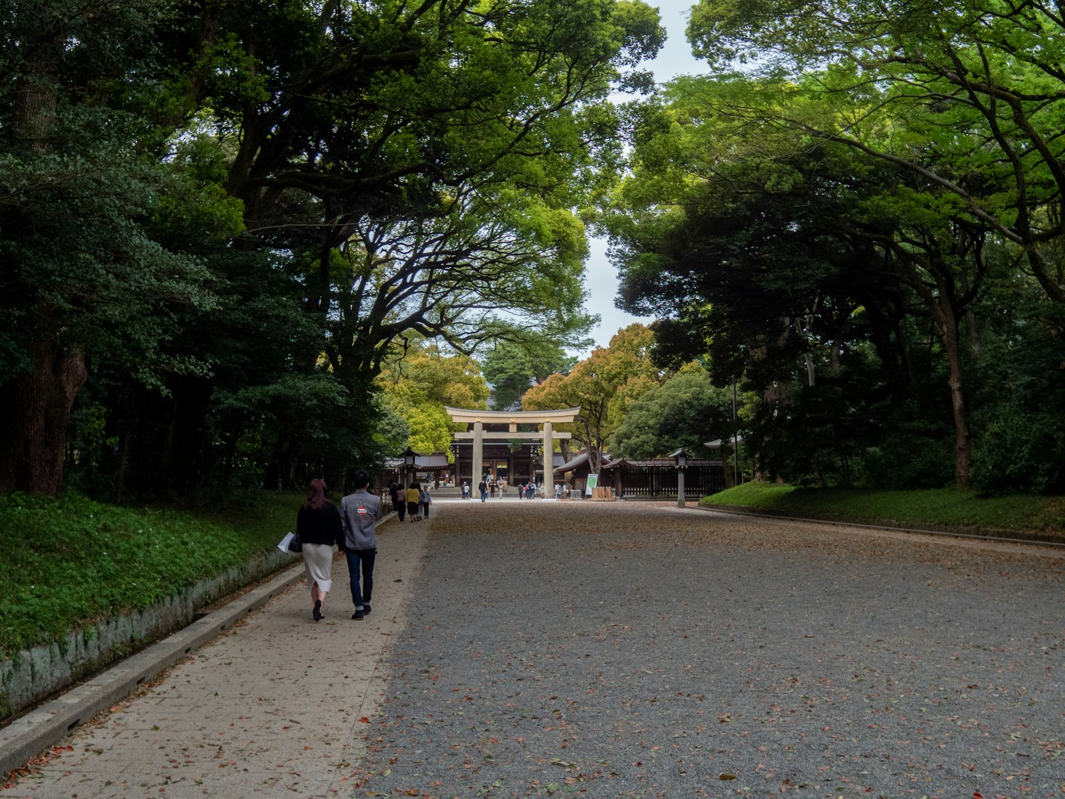 Người đi bộ dọc theo con đường có cây cối dẫn đến cổng torii
