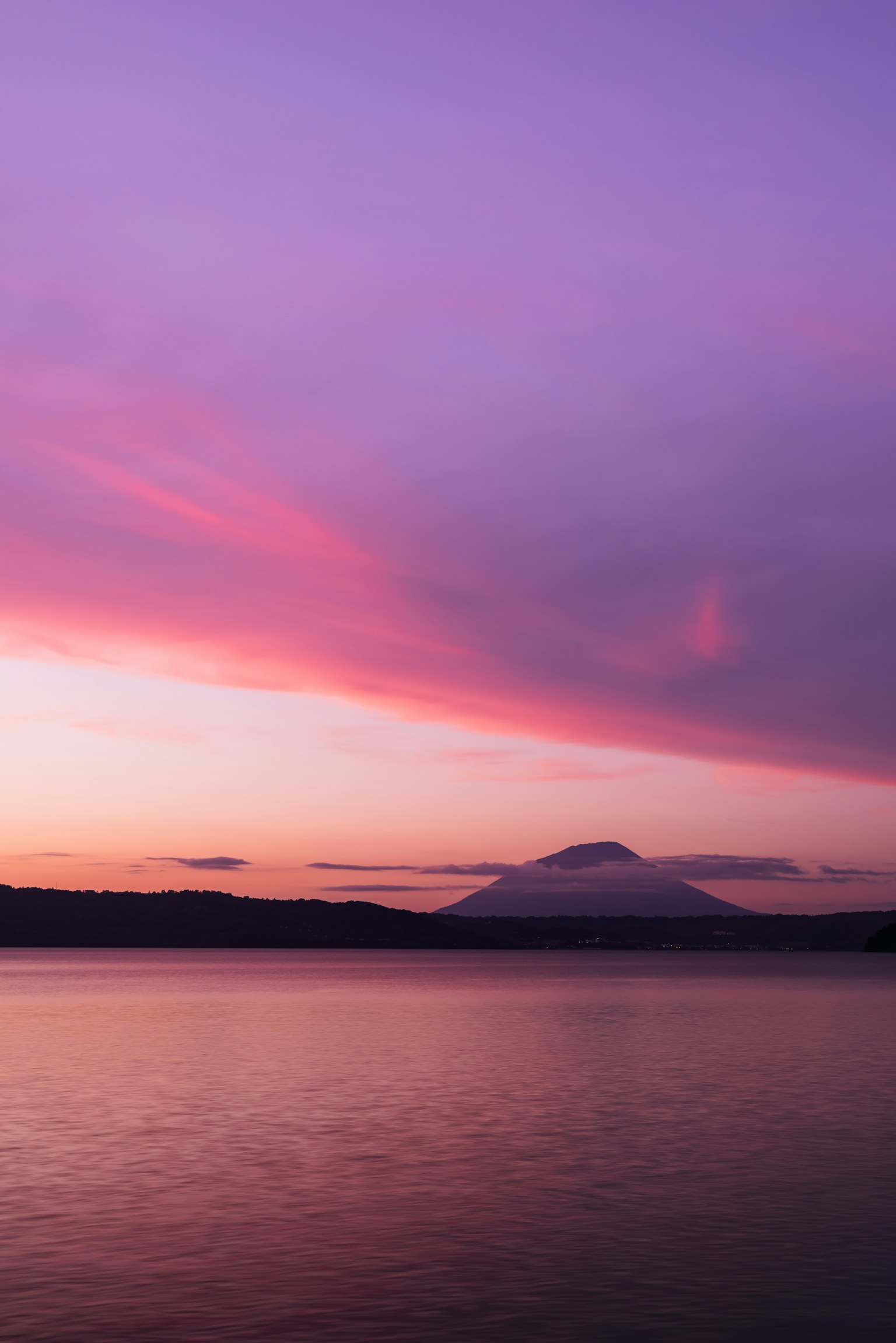 photo-COZC42IUxn6hMzVmYXwC-image