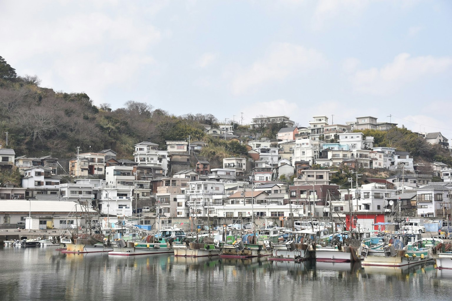 小渔村的风景，有彩色船只和白色房屋
